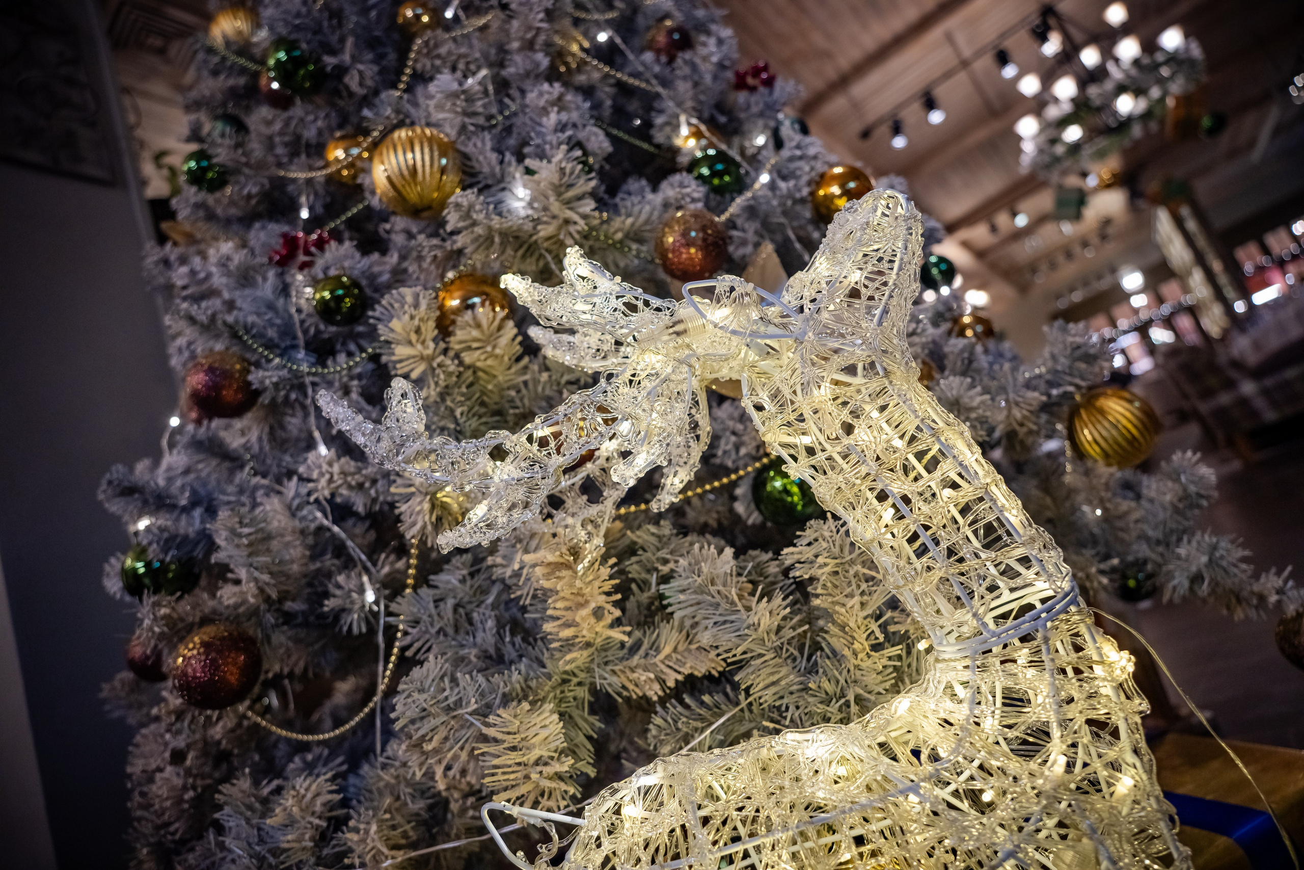 Сборные корпоративы в ресторане «Плюшкин» Декабрь 2025. Фотограф Александр Вишняков