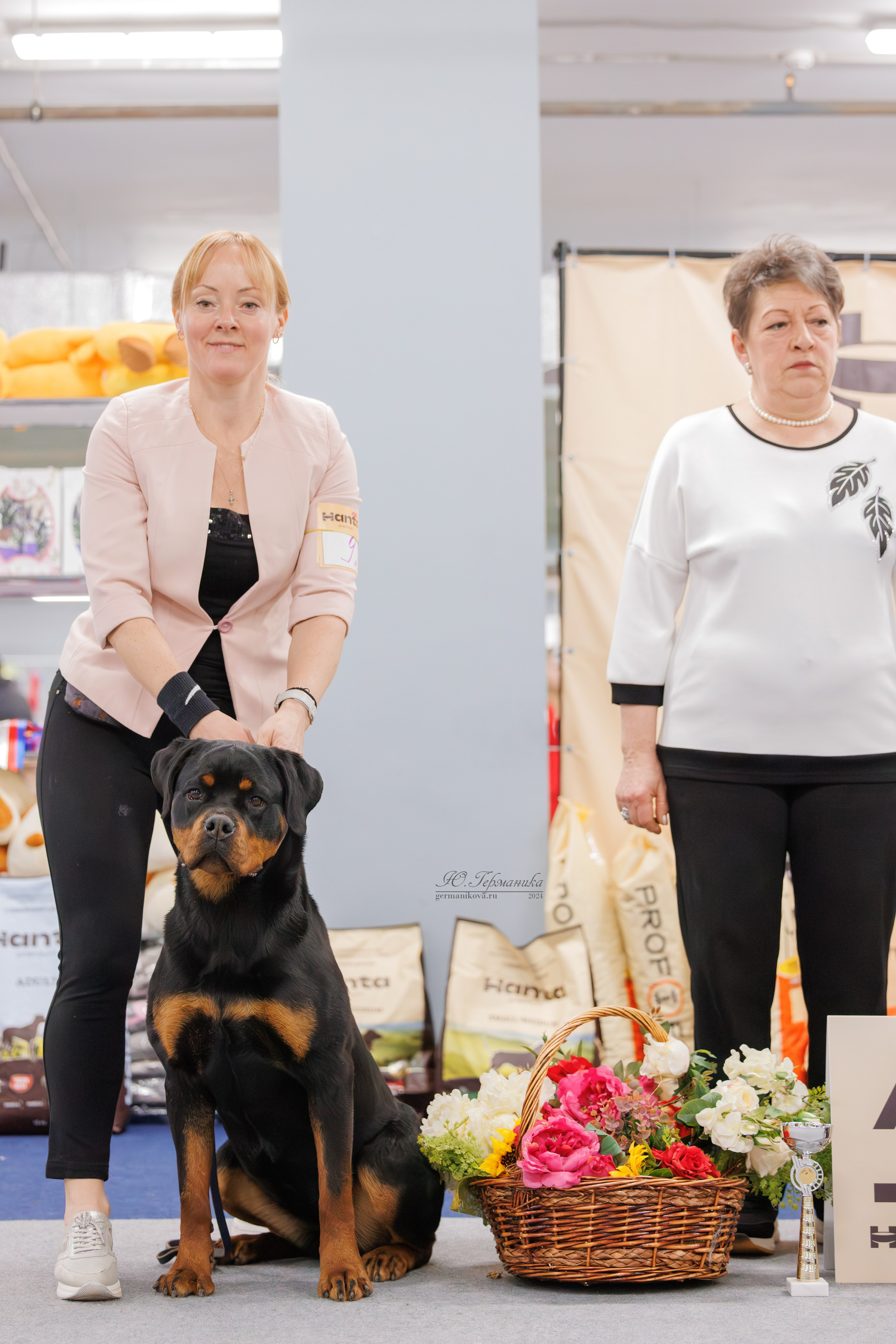 Сфера и Крокус 8,9,16 и 30.03.2025. Фотограф-анималист Юлия Германика