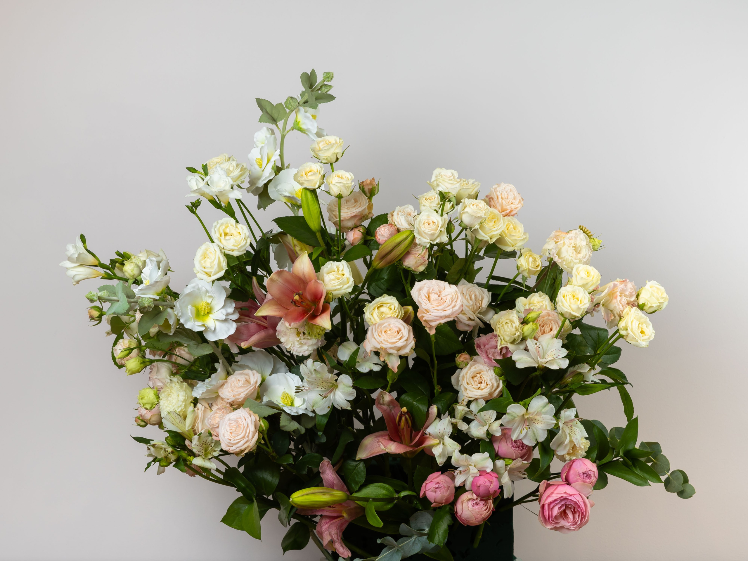 ЦВЕТЫ. ФОТОГРАФ ВИНОГРАДОВА ДАРЬЯ