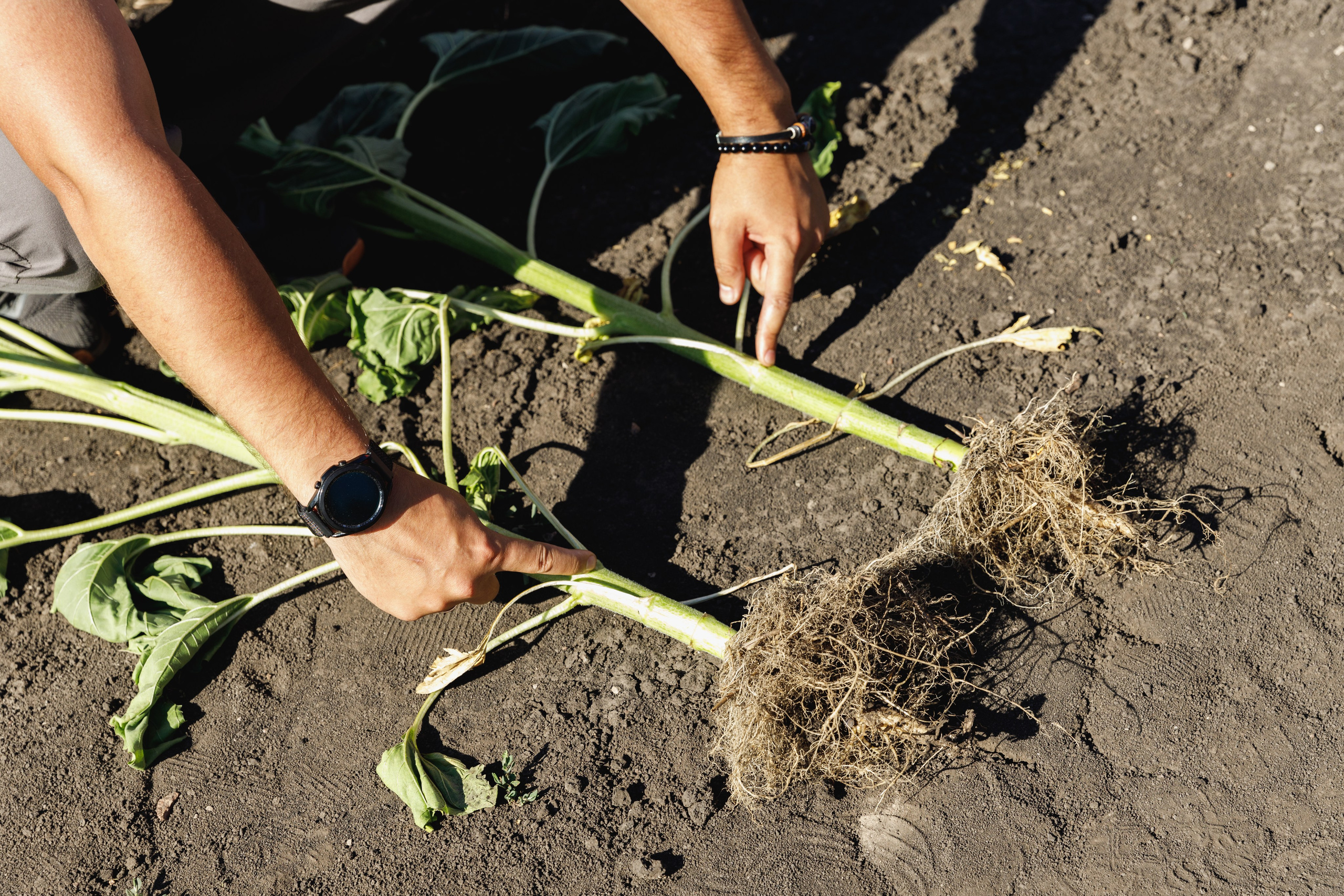 BASF. Конференция 2024. Фотограф Липецк. Фотограф в Липецке Татьяна Минаева. Портретный фотограф Липецк. Свадебный фотограф Липецк. Бизнес фотограф Липецк