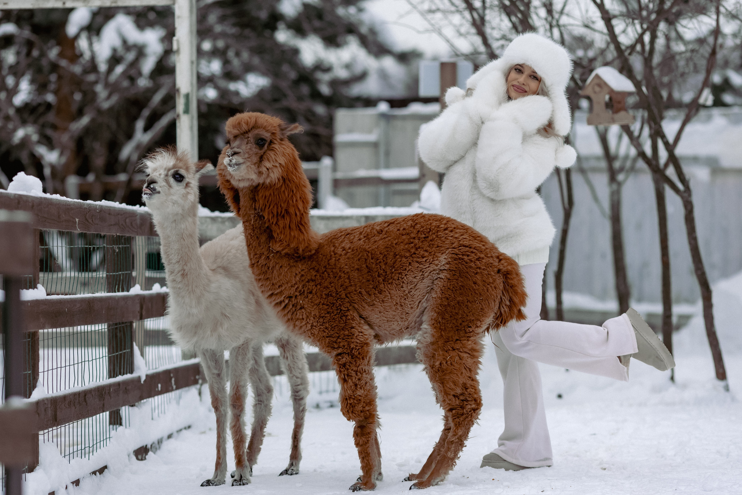 Алина. Детский и семейный фотограф Евгения Вахнеева Москва Зеленоград