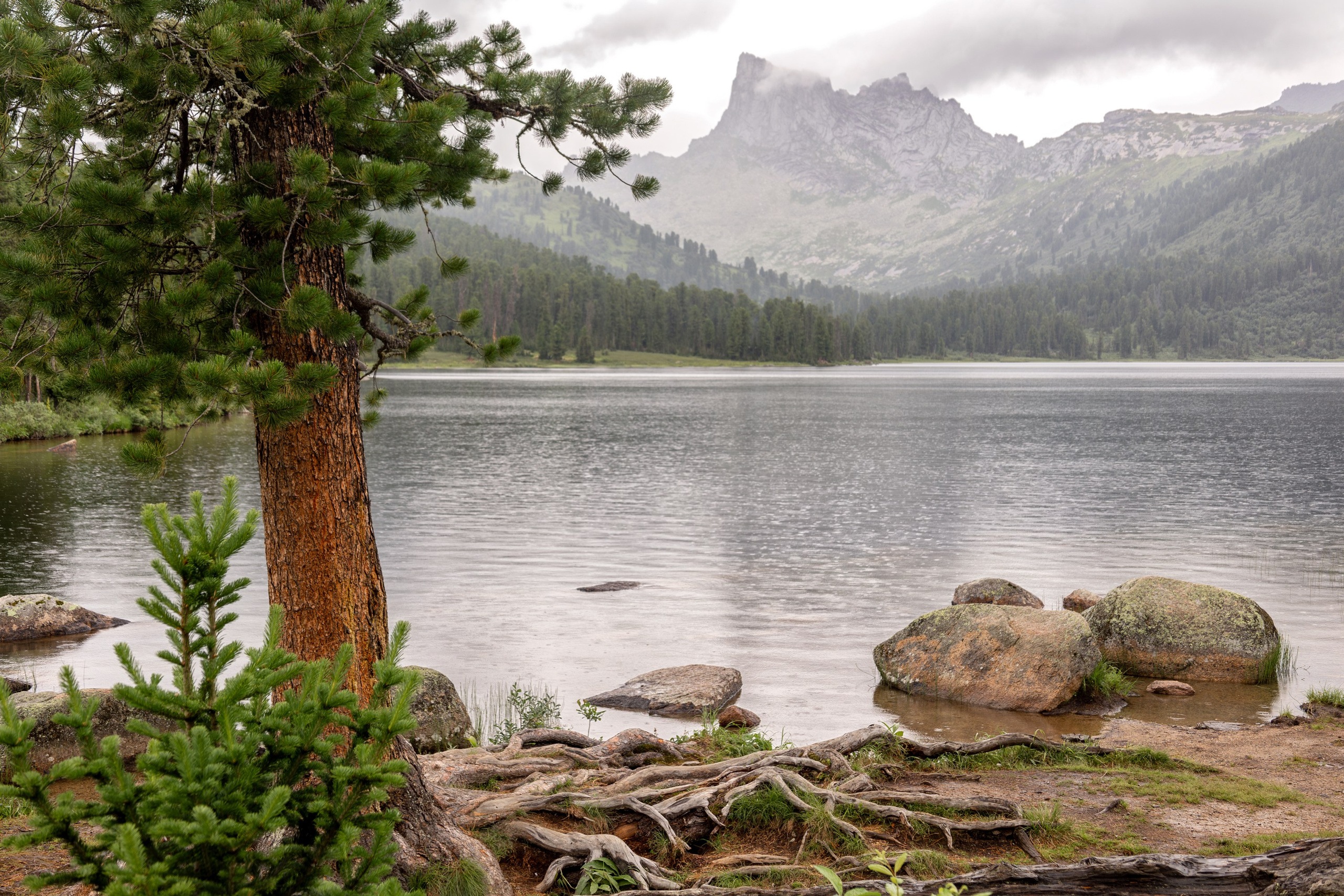 Ергаки. Семейный и детский фотограф в Красноярске, Дивногорцева Светлана