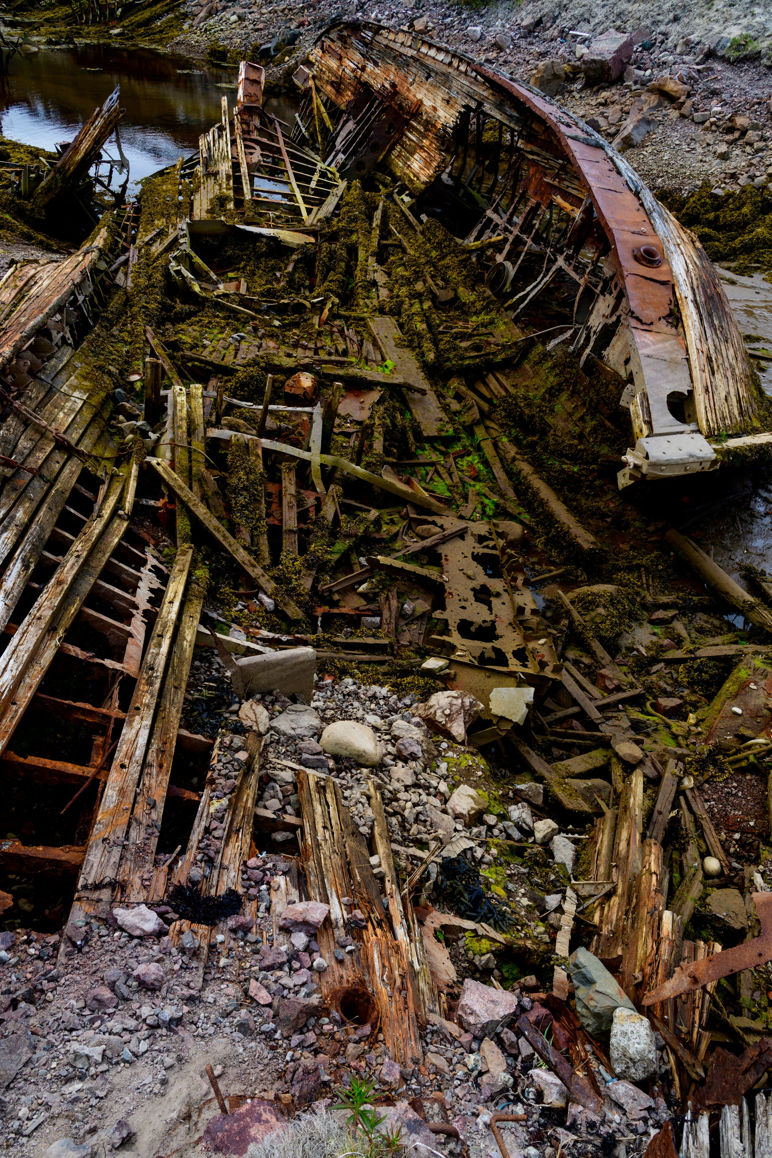 Мурманская область. Июнь 2024. Фотограф Сергей Пупонин