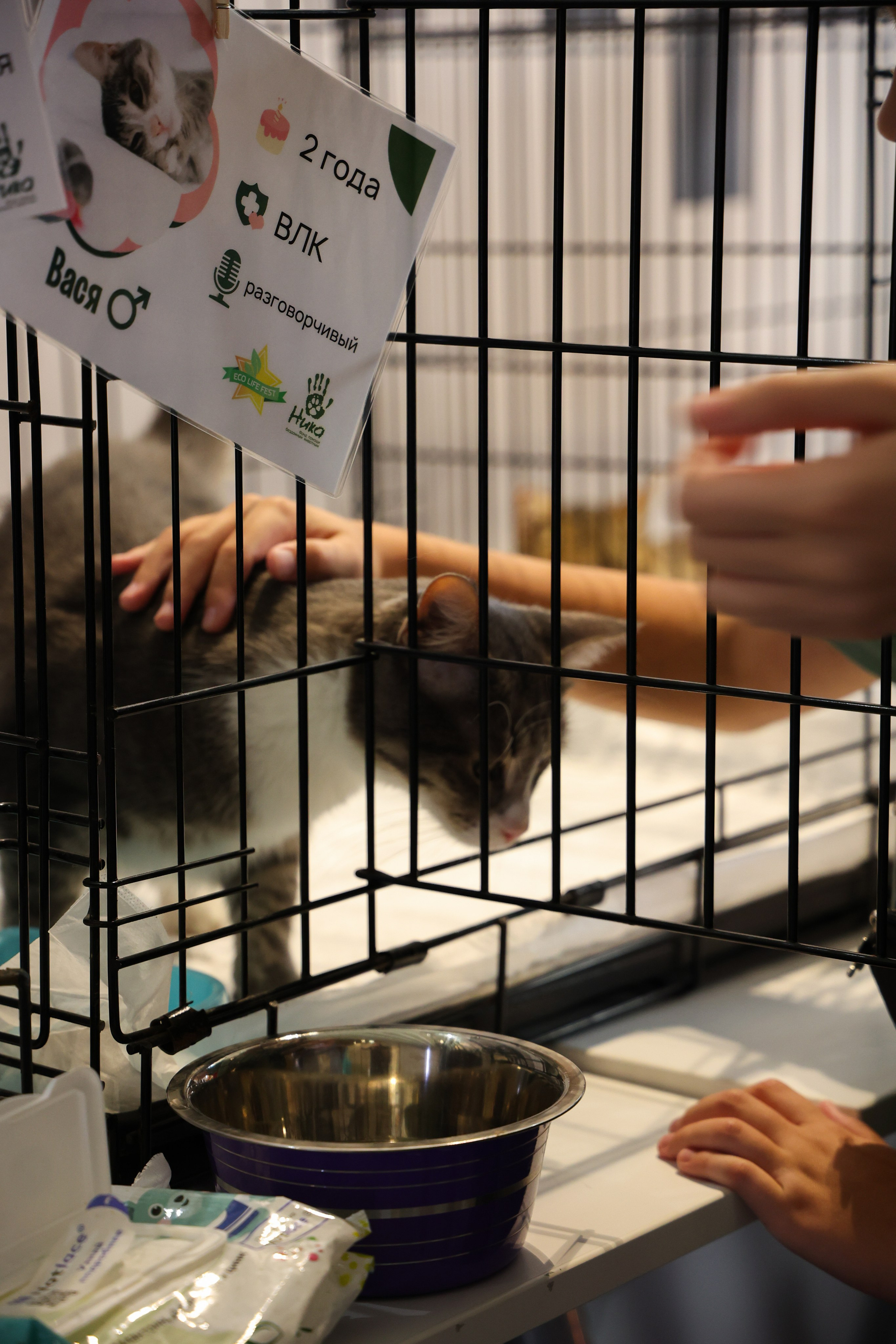 ECO FEST. Фотограф Вадим Бодылев