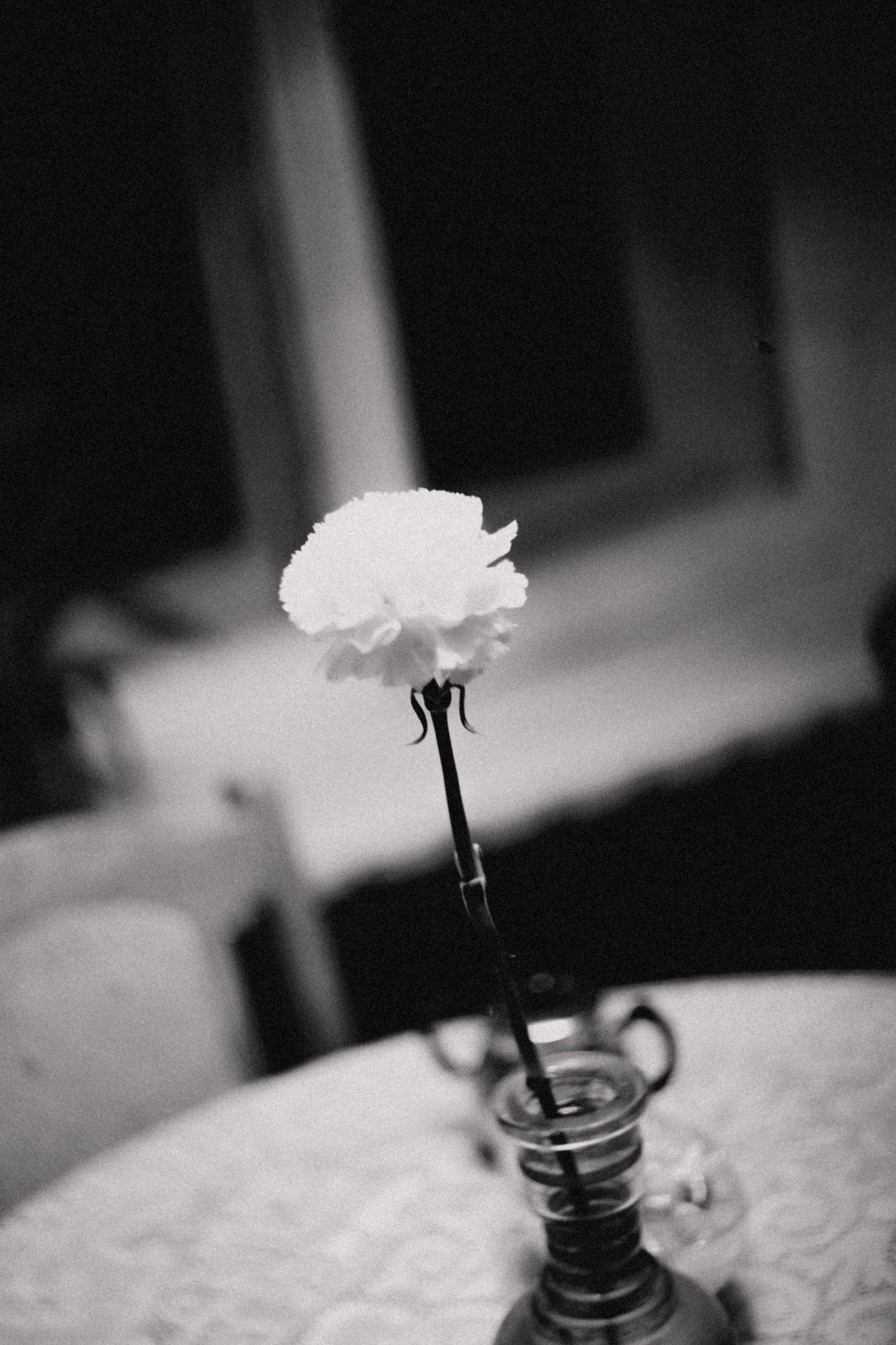 Питер. Коммуналка. Надя. Фотограф в Нижнем Новгороде