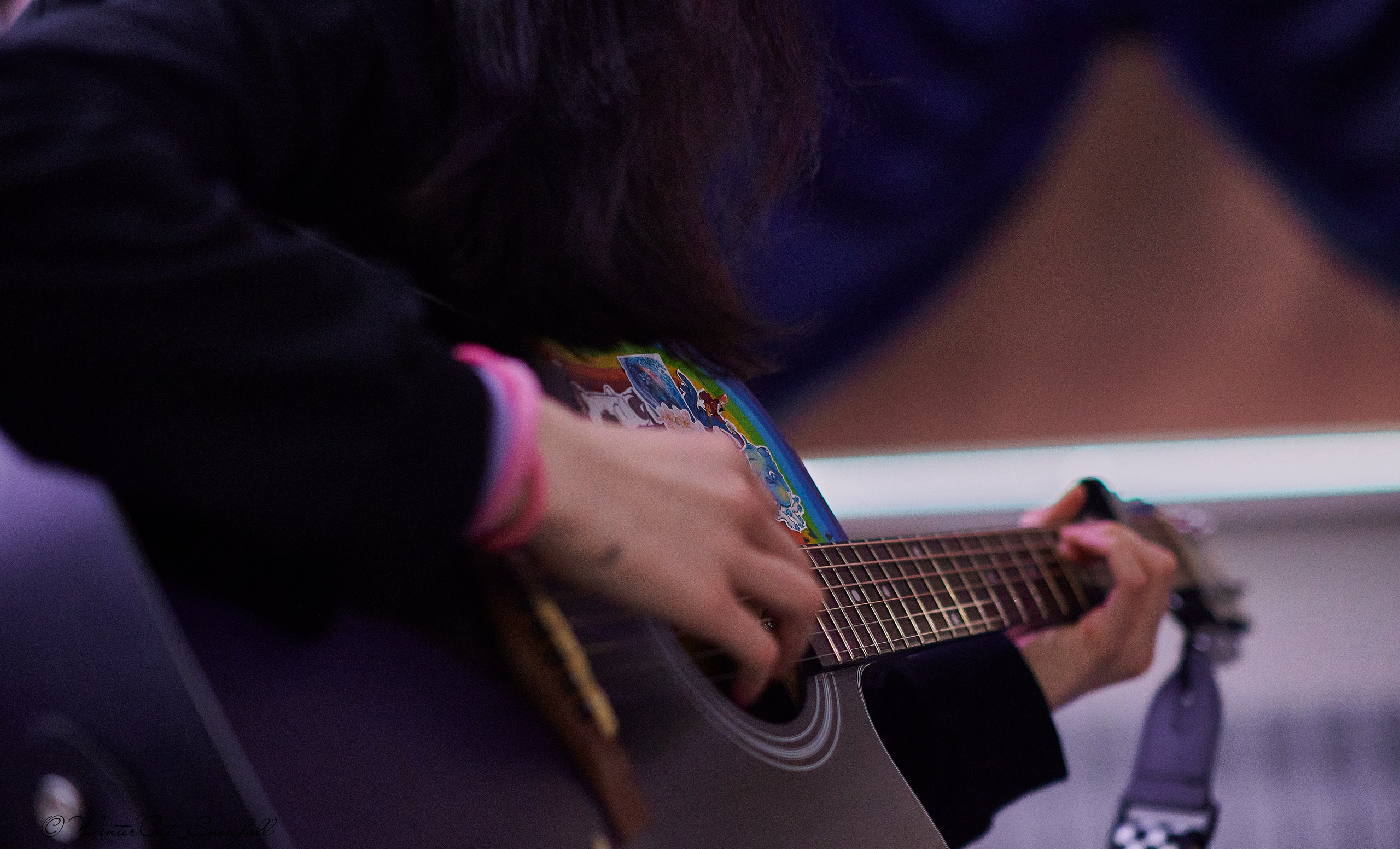 Крик (Чайка 11.05.24). Портретный и репортажный фотограф в Магадане Андрей Нефедов WinterCatPhoto