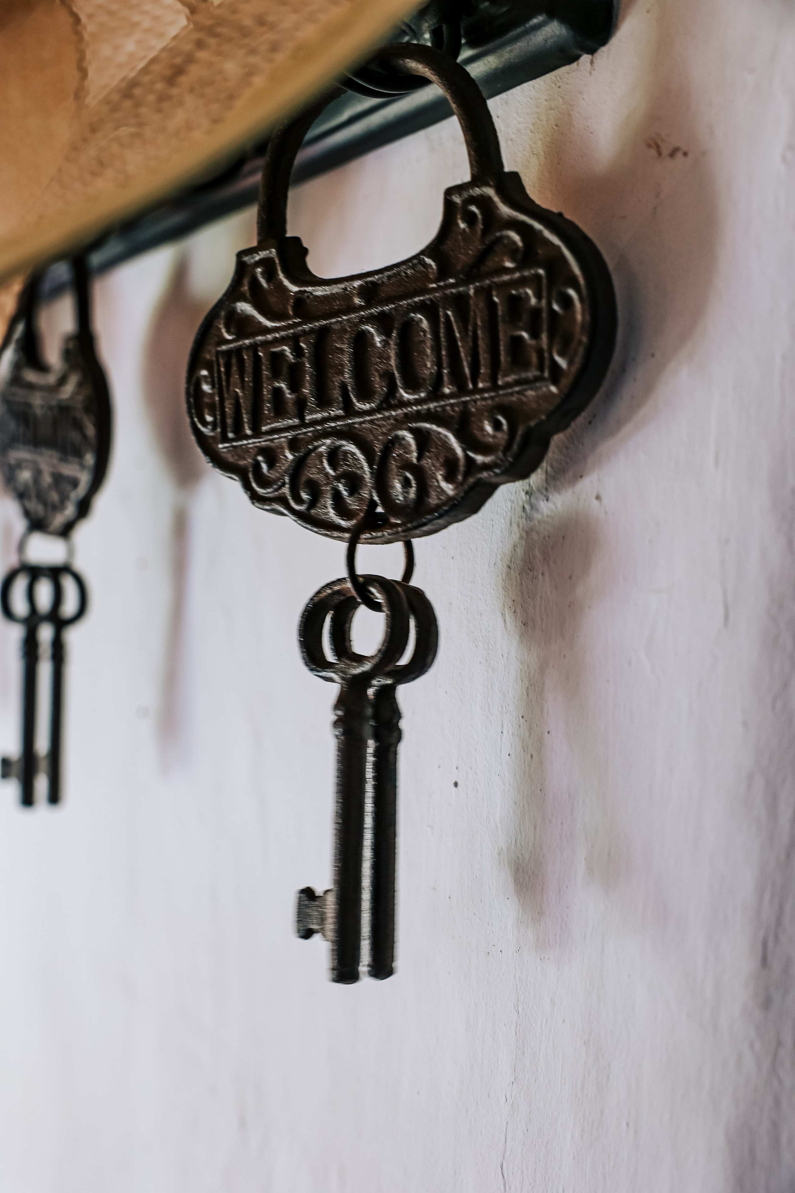 Emblemática Los Helechos. Фотограф Виктория Волкова. Москва