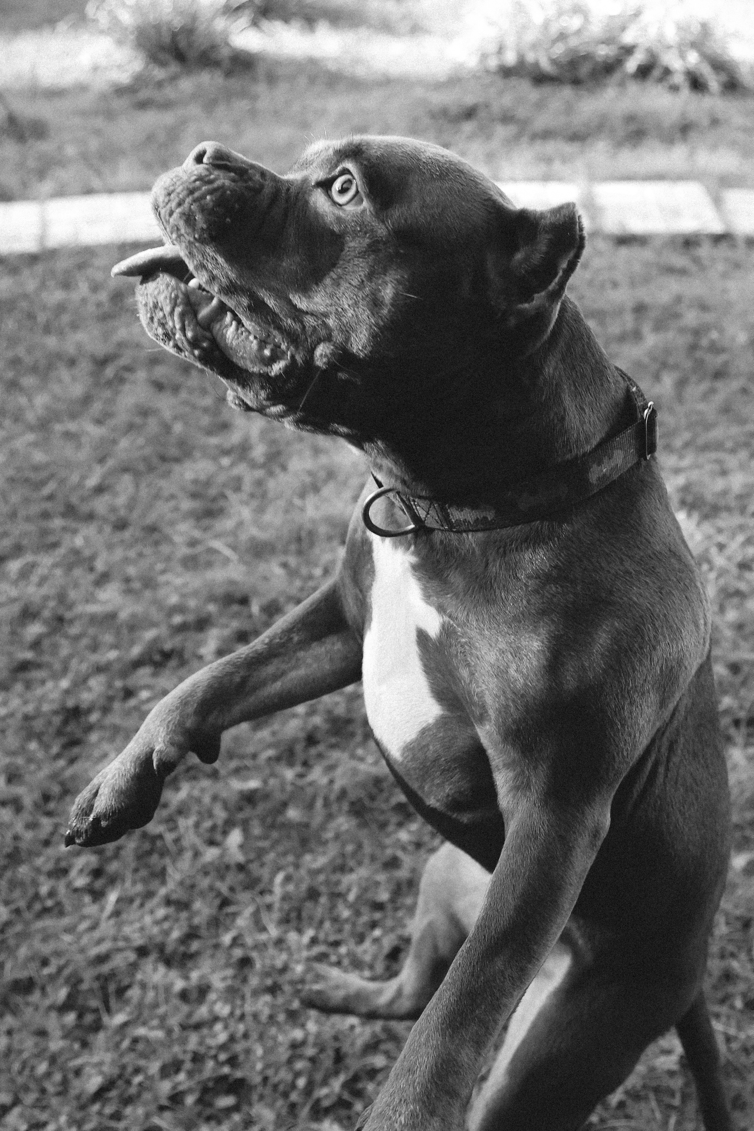 Амина. Валерия Гуртовая | Фотограф, Санкт-Петербург