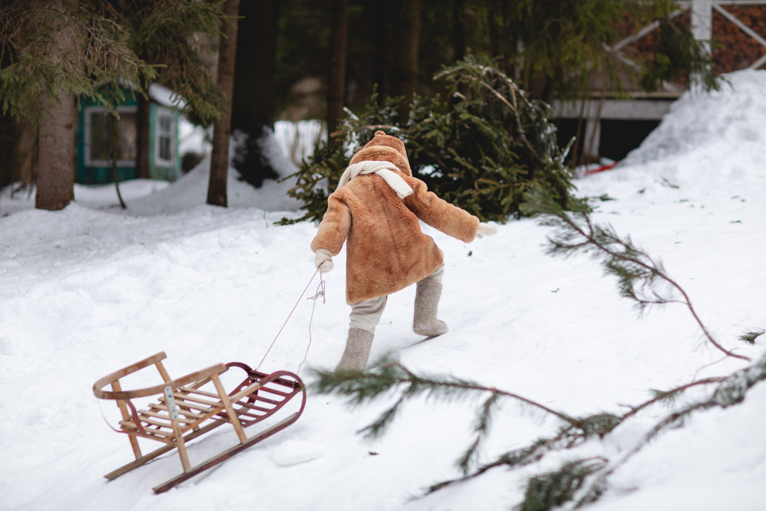 Домик в лесу. Семейный фотограф в Москве Анастасия Гурьянова