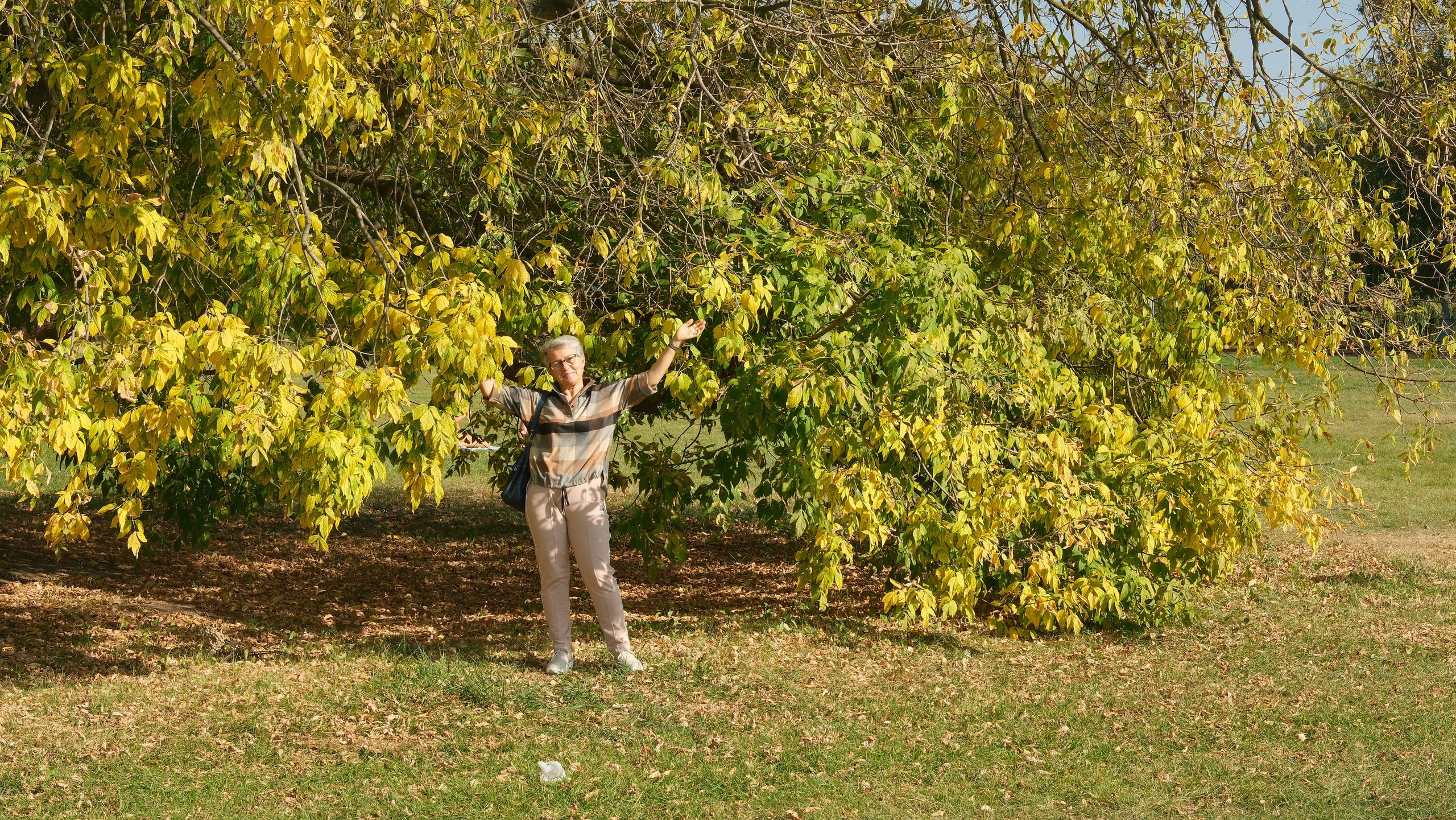 Осень 2023. Улица, люди, жизнь…