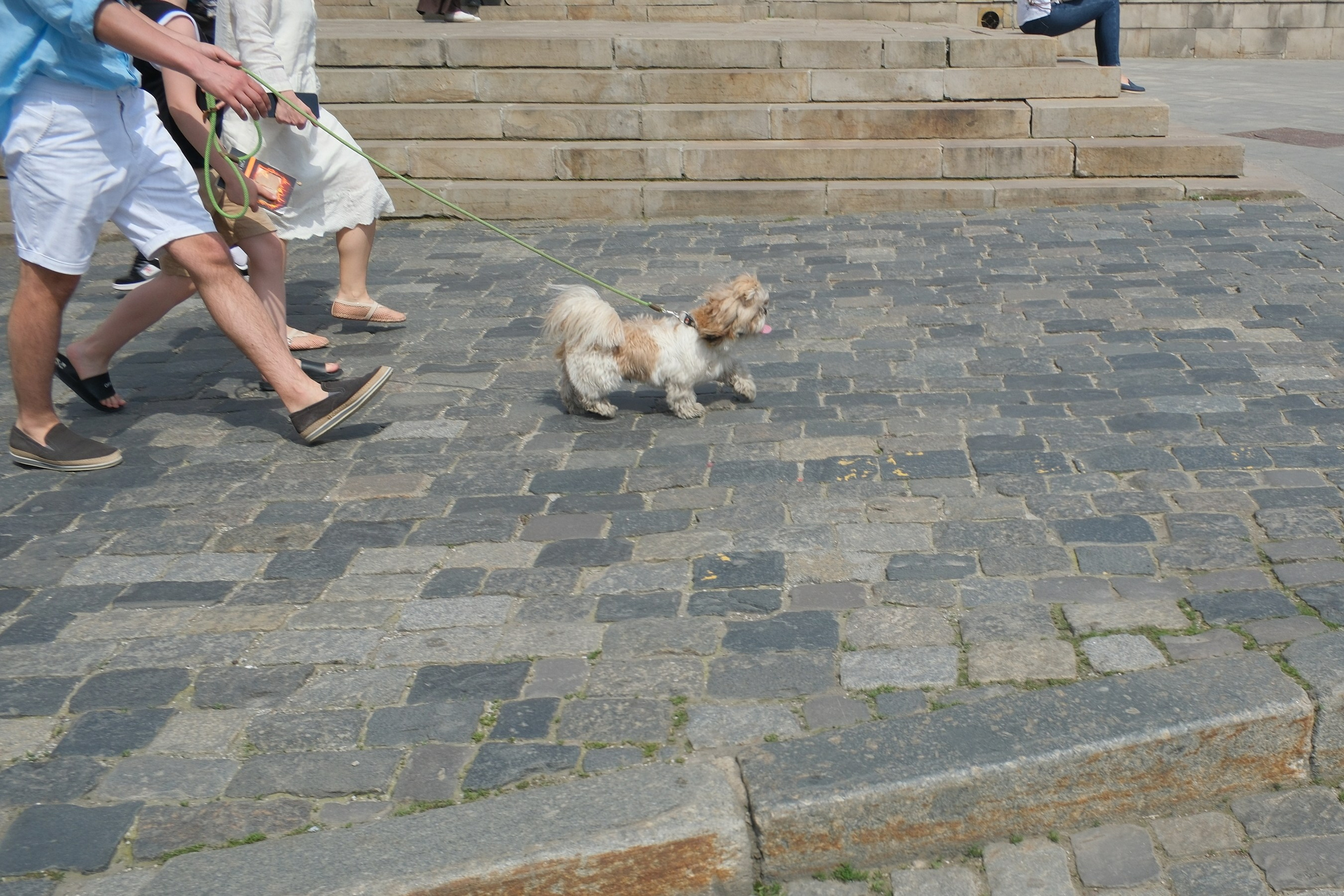 По Москве 25.05.2025. Улица, люди, жизнь…