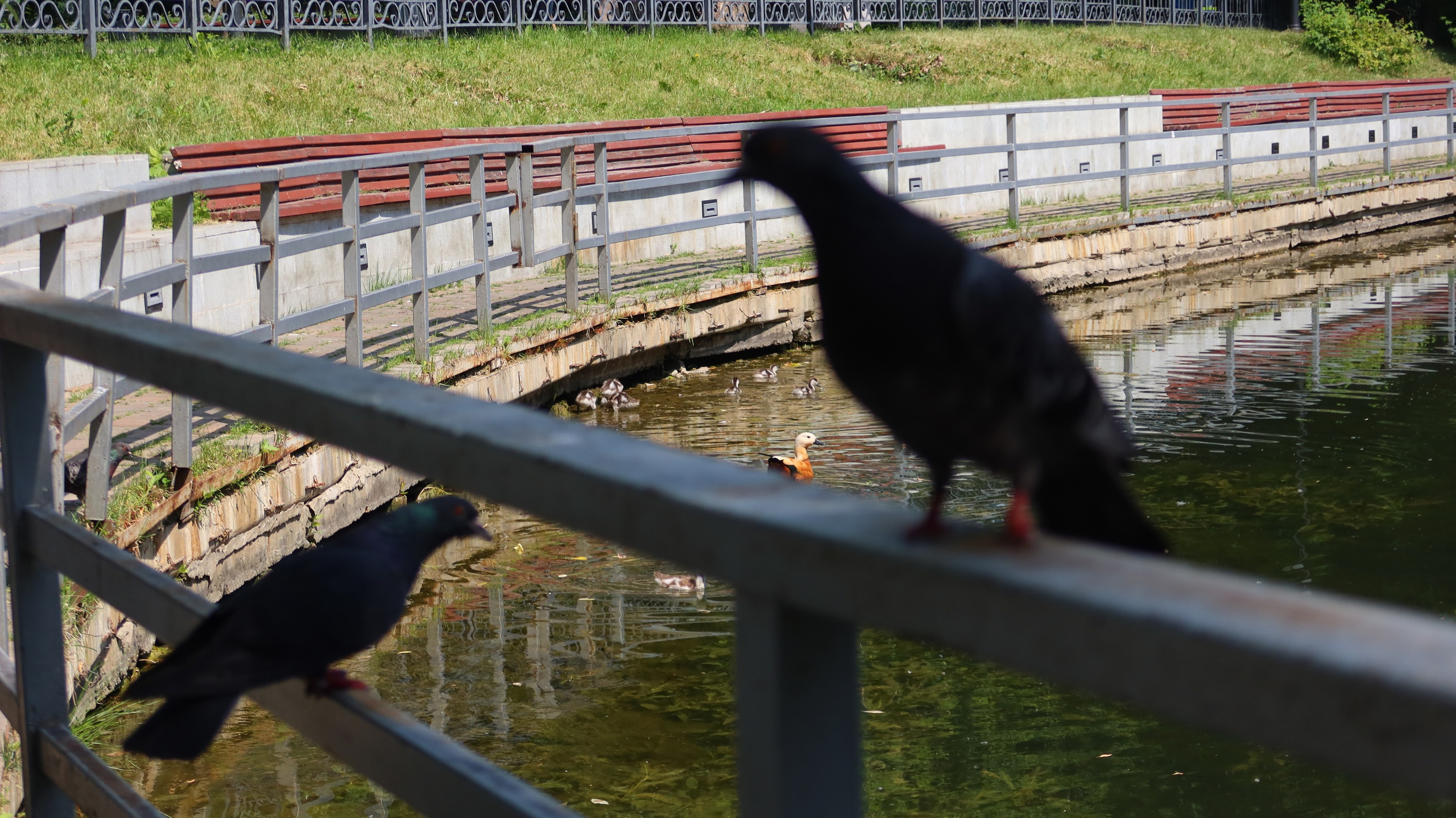 Антроповский сквер. Улица, люди, жизнь…