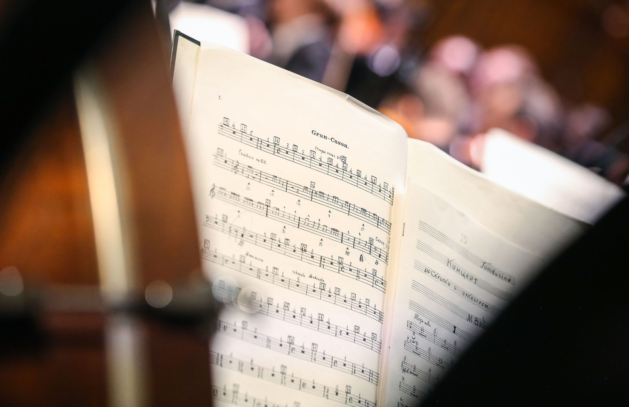 Владимир Юровский и ГАСО — Концерт к 100-летию Октябрьской революции. Дарья Письменюк / Darya Leitstern — фотограф, музыкант, журналист, путешественник