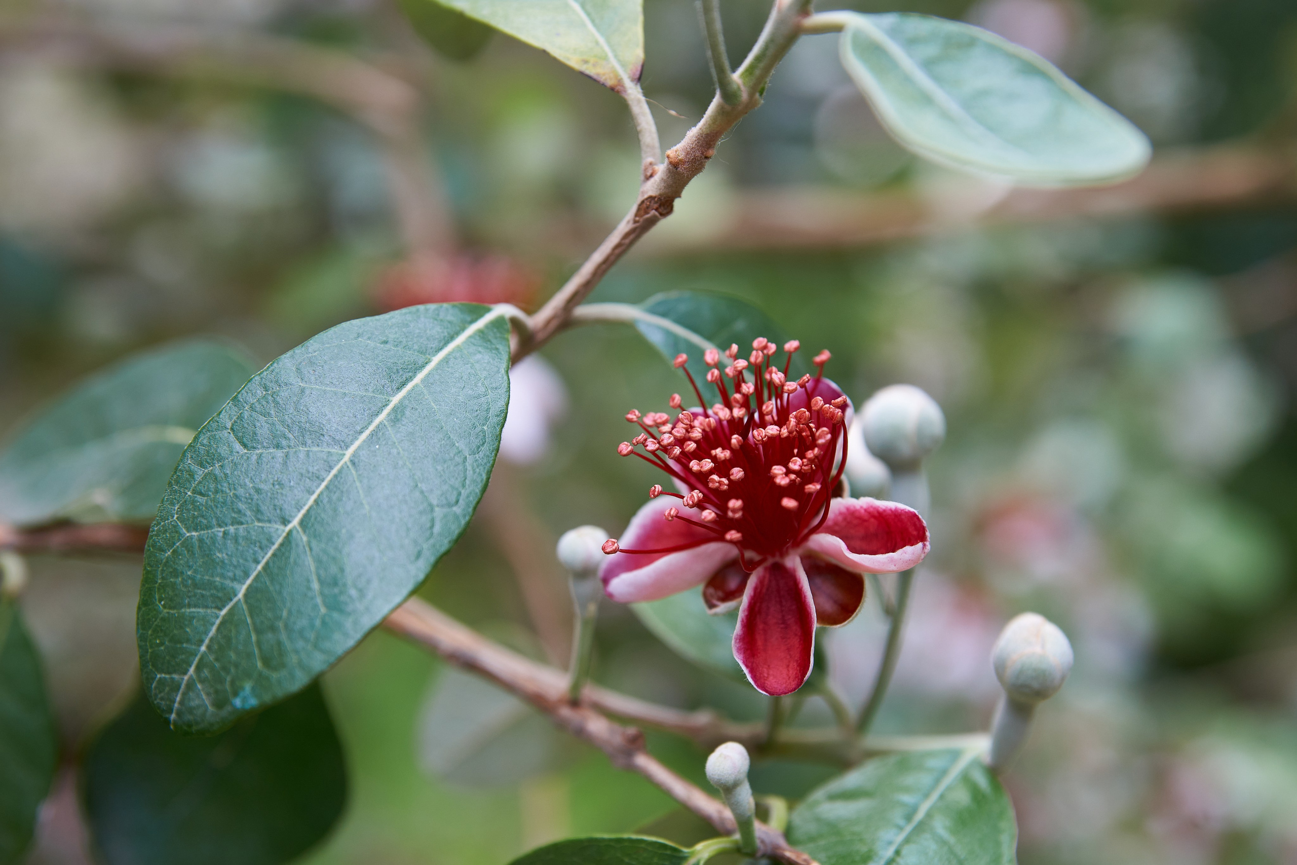 Наша мать — природа. Фотограф Владимир Артамонов