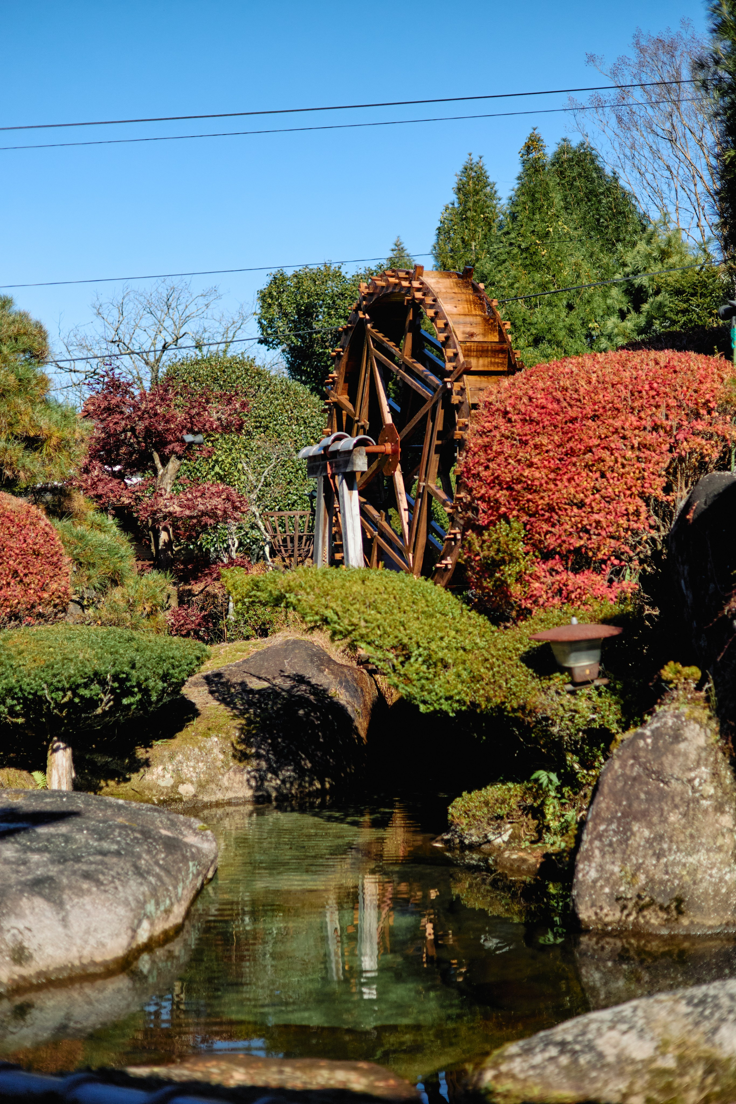 Япония. Профессиональный Фотограф во Владимире, в Москве и в Суздале — Полина Романычева