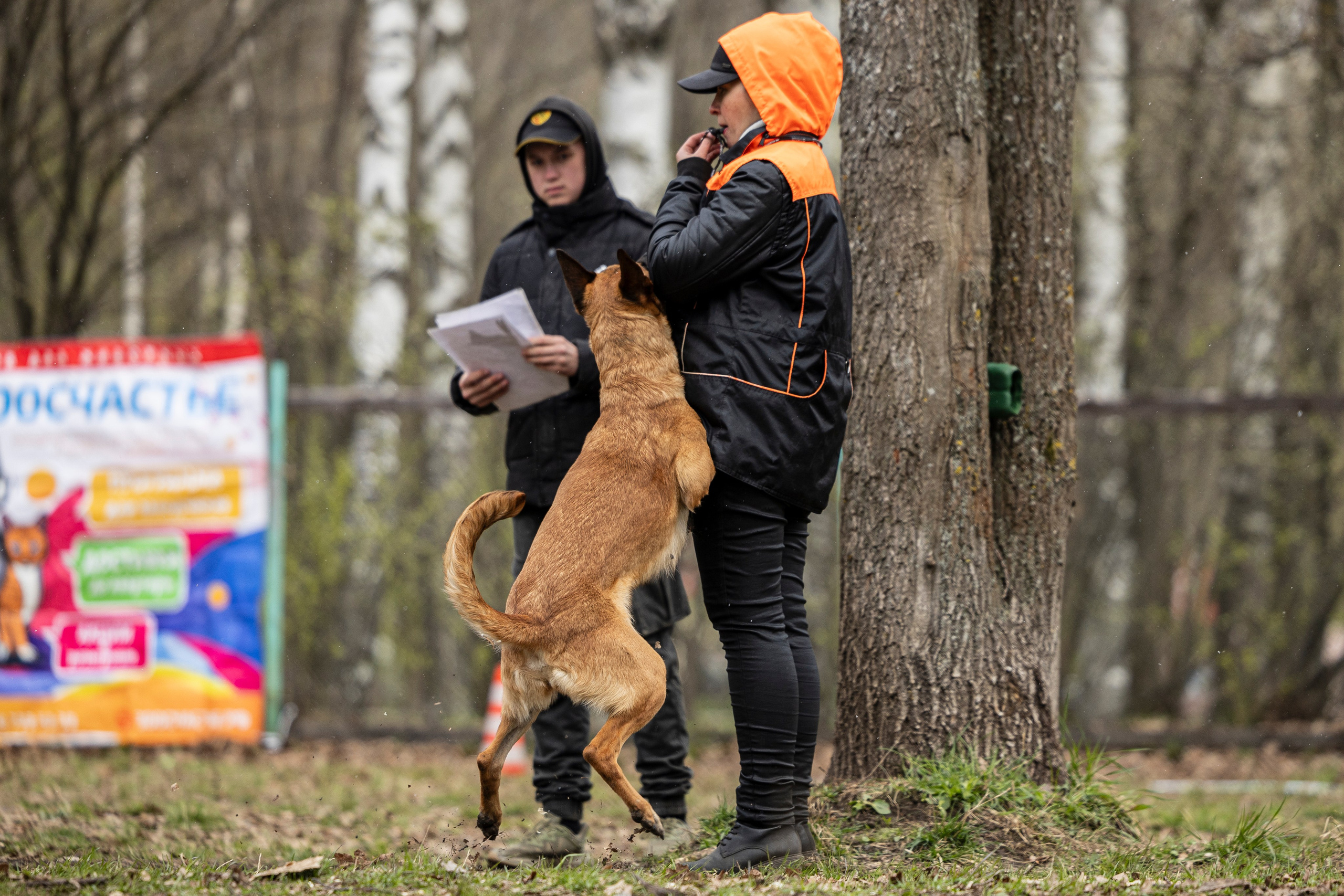 Квалификационные состязания по мондьорингу г. Вологда 11.05.24. Фотограф-анималист Анна Маринич