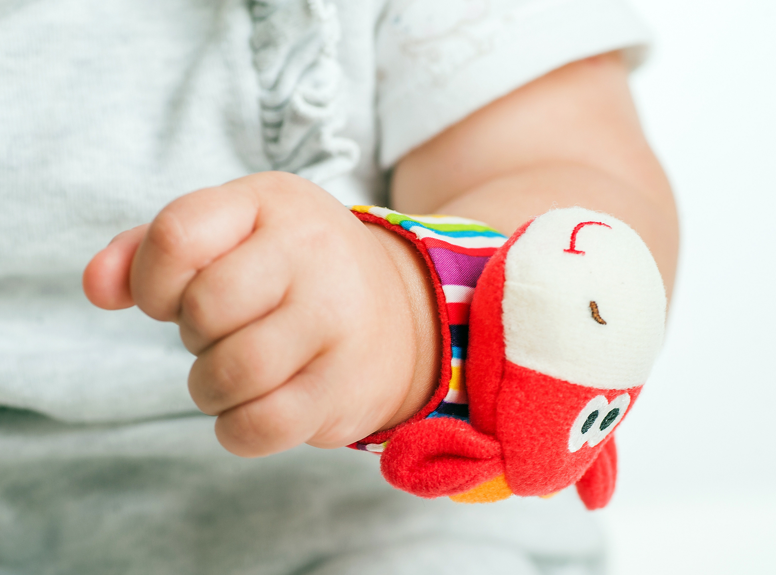 Предметная съёмка. Фотограф Елена Камынина