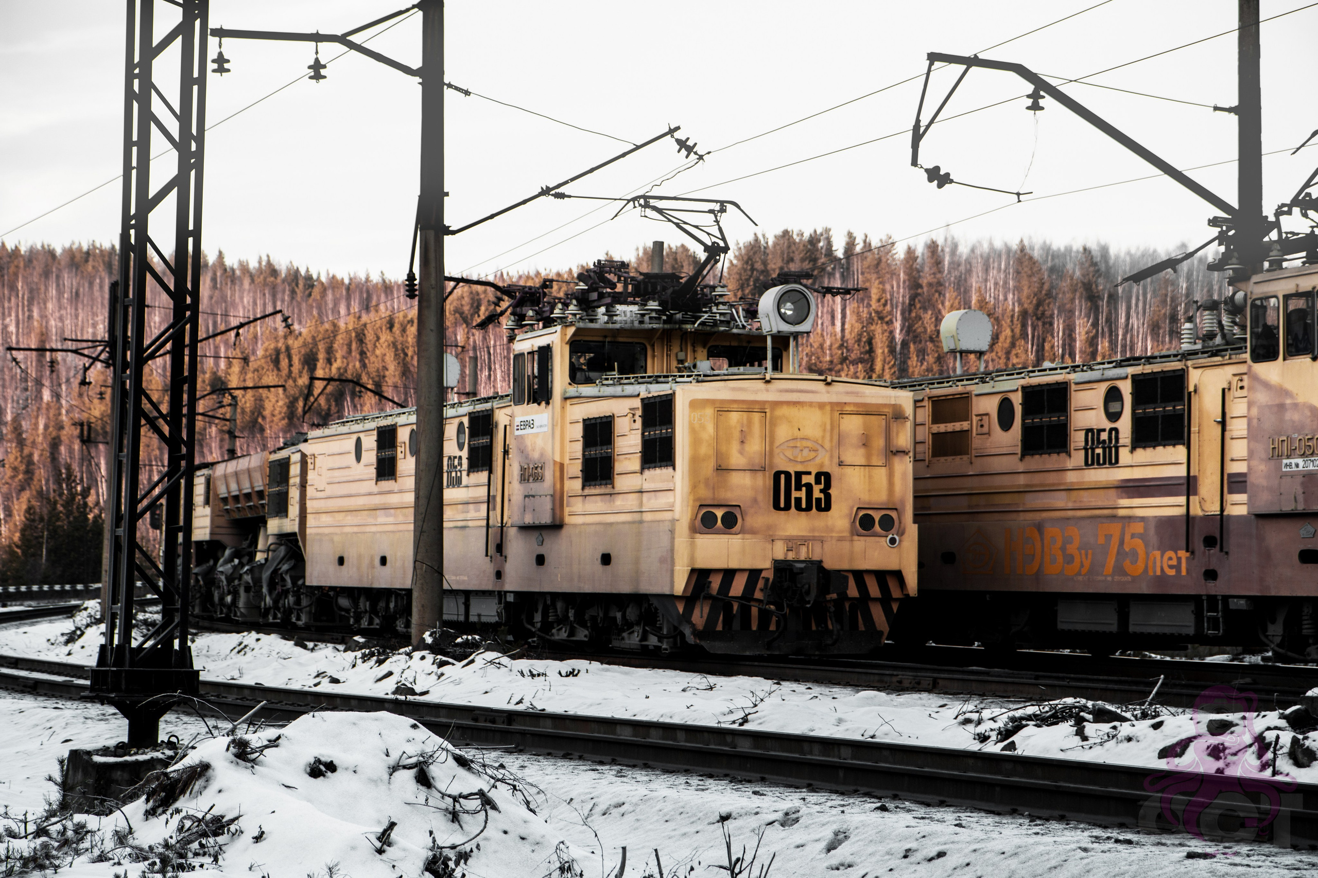 Буддистский монастырь Шад Тчуп Линг. Предметный и репортажный фотограф Алексей Кротов