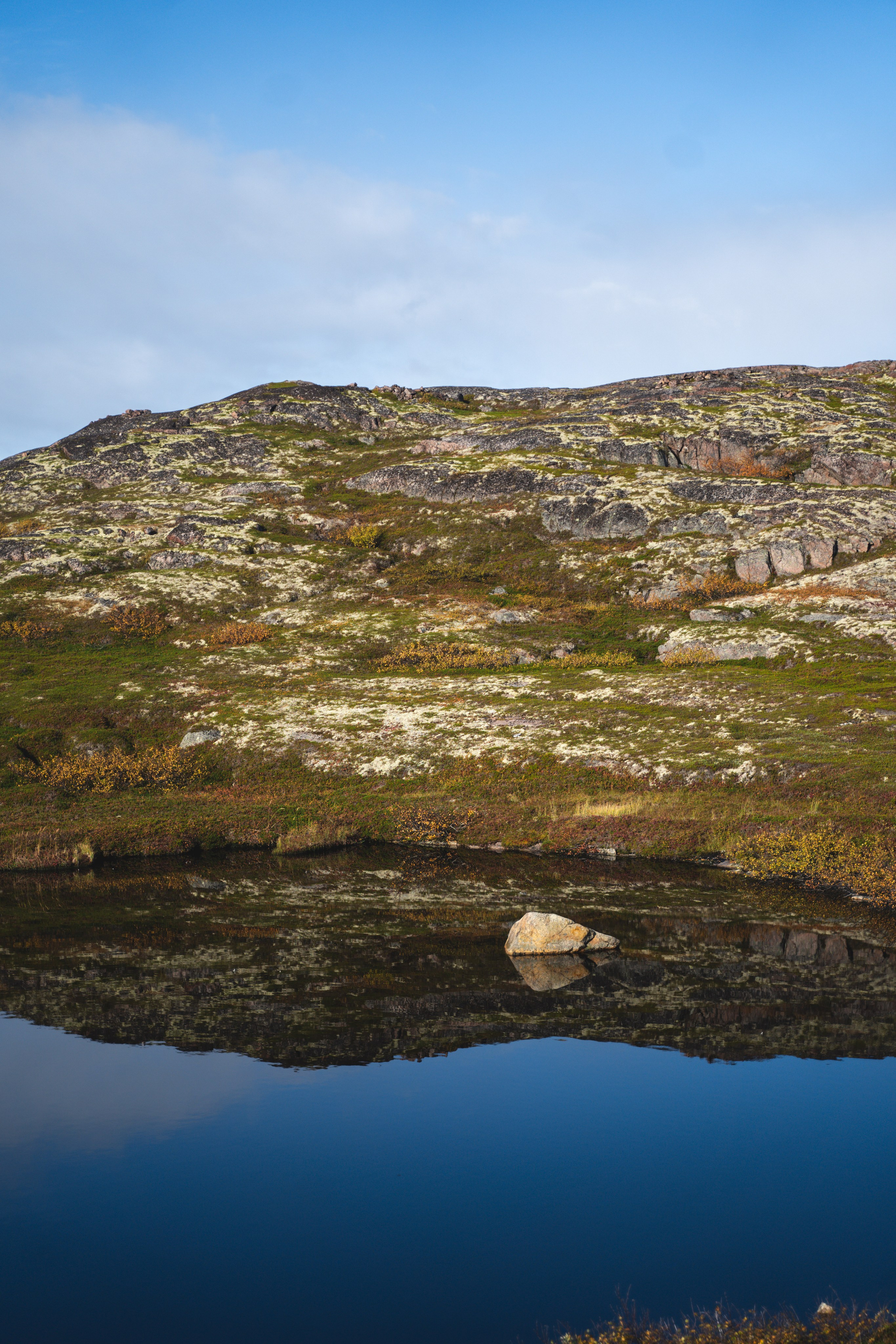 Териберка 2023. Фотограф Ольга Пучкова