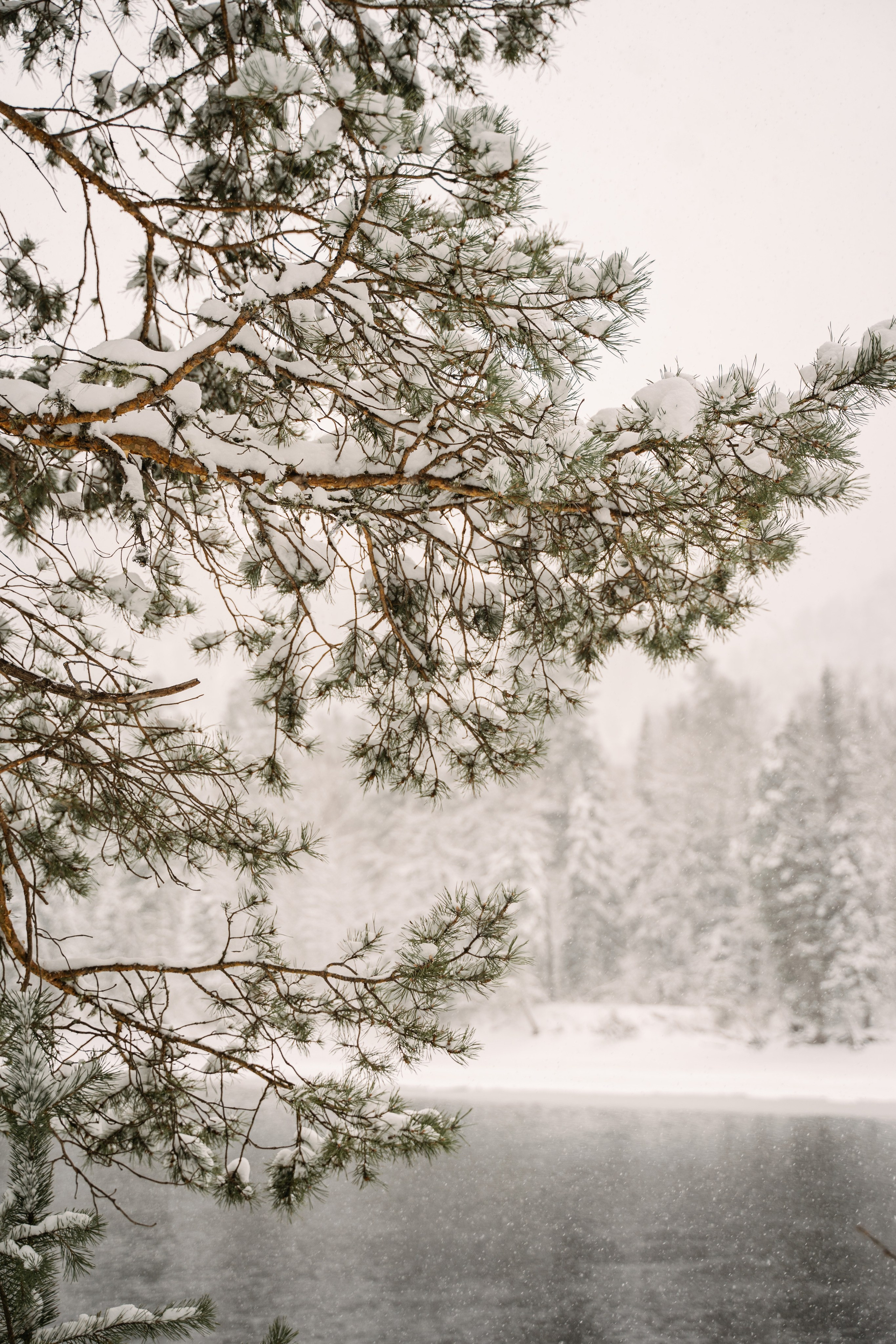 Релекс ТЕЛЕЦКОЕ. Фотограф Ольга Пучкова