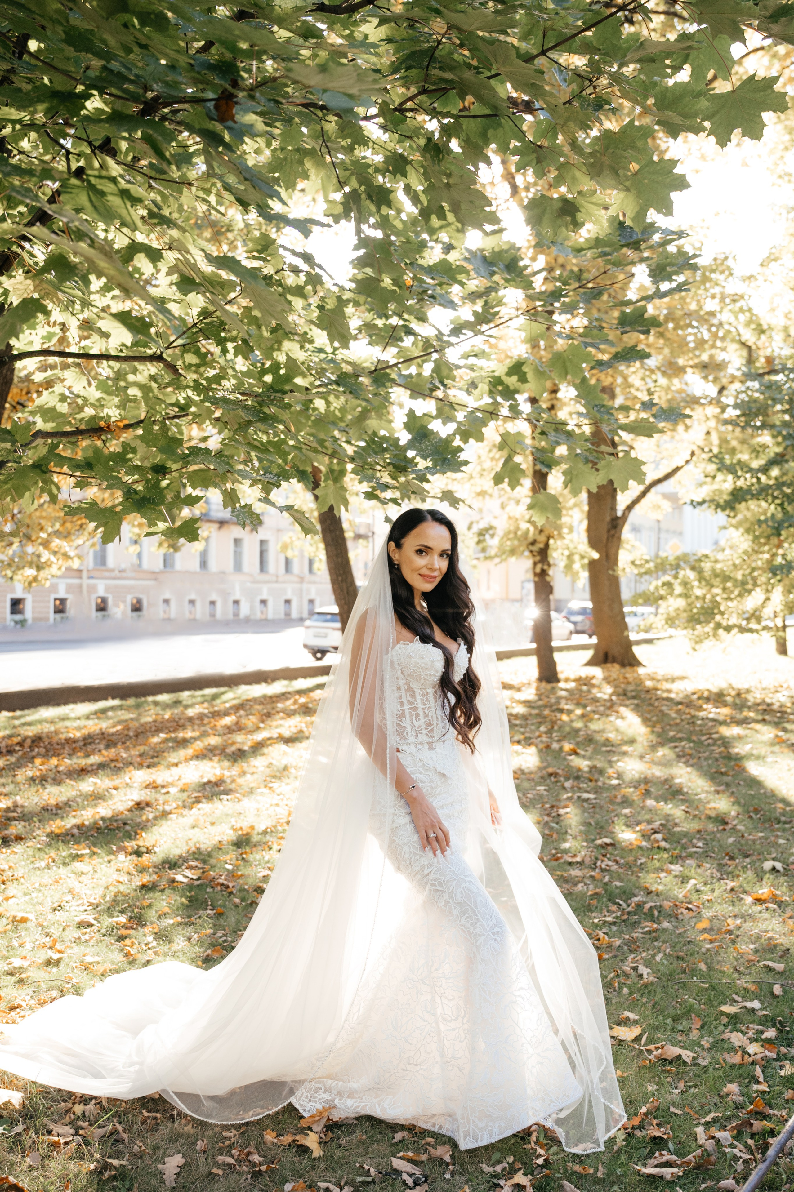 Вероника и Николай. Свадебный и студийный фотограф Ирина Котикова