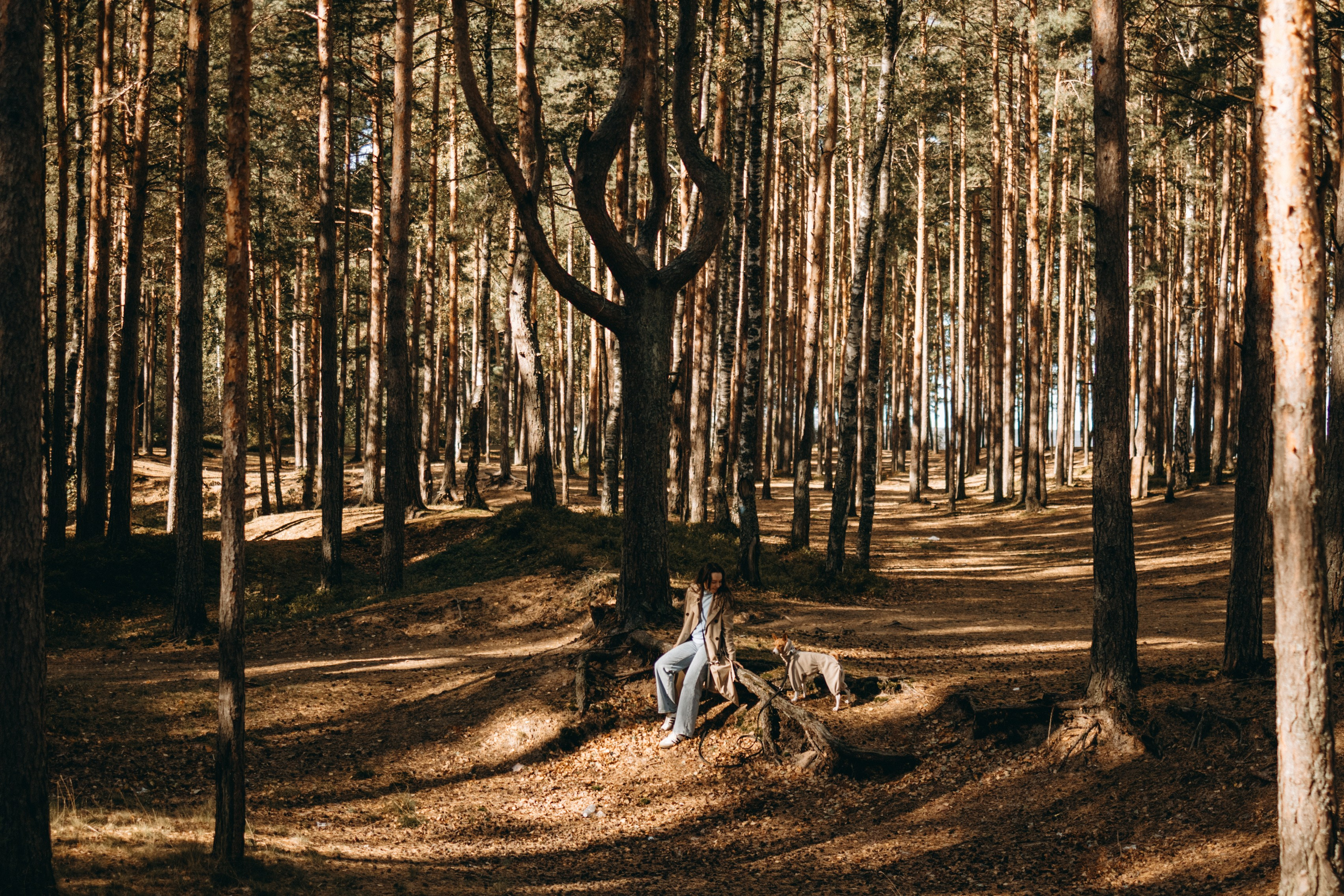 Алиса и Лео. Фотограф — Анималист | Санкт-Петербург