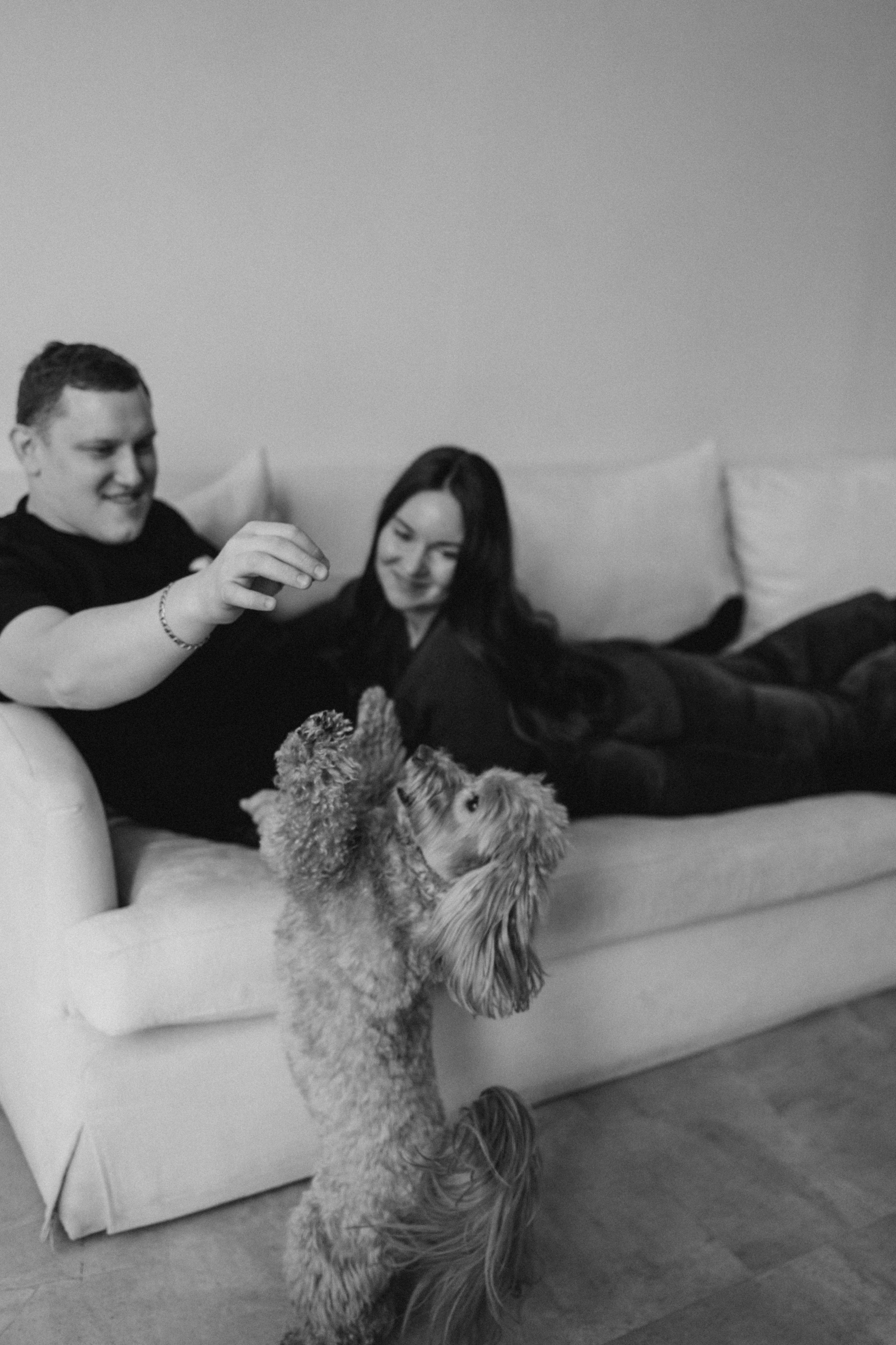 Шкипер и его семья. Фотограф — Анималист | Санкт-Петербург