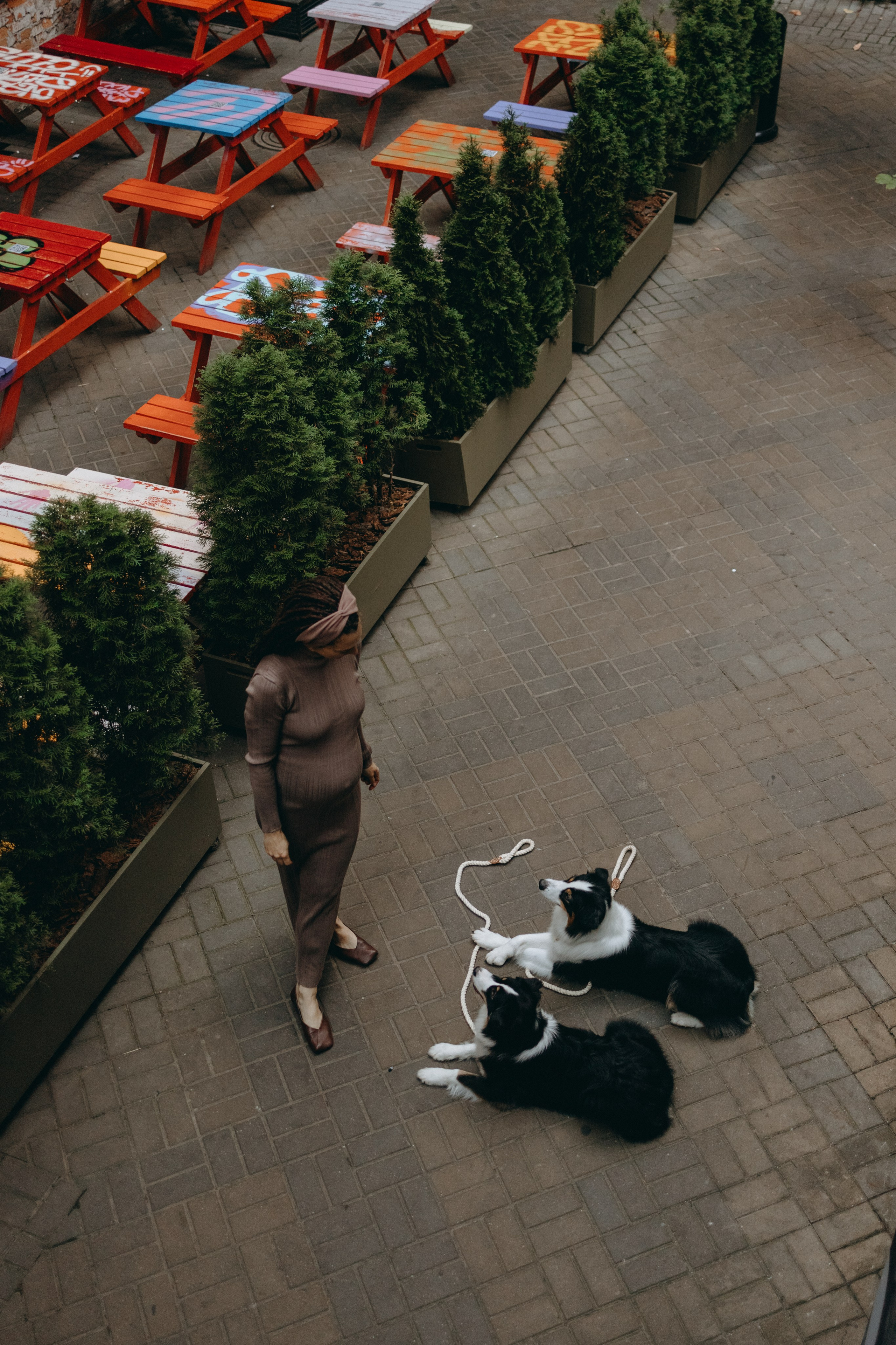 Катя и ее девочки. Фотограф — Анималист | Санкт-Петербург