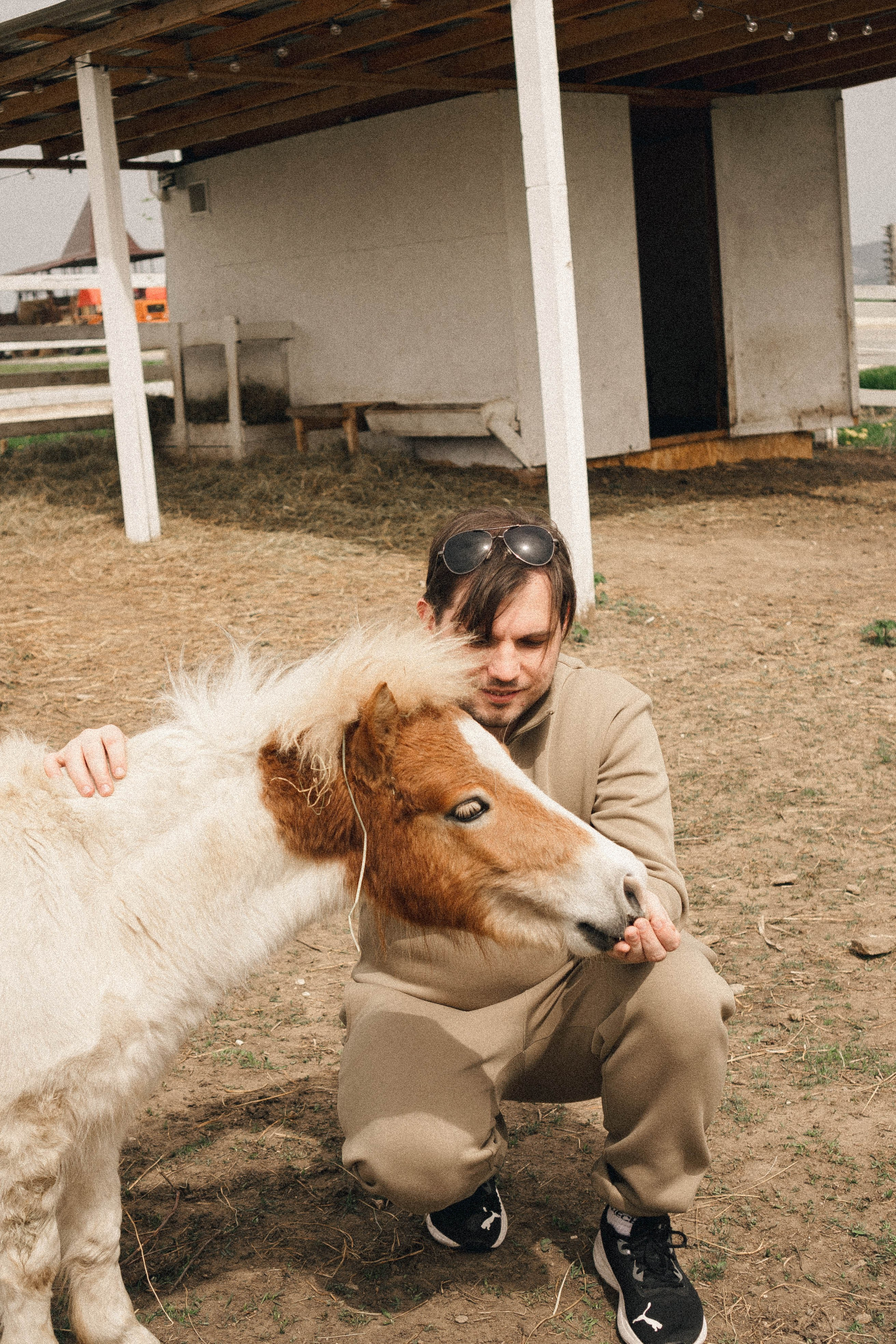 Ферма Альпак. Профессиональный фотограф, Санкт-Петербург — Виктория Богомолова