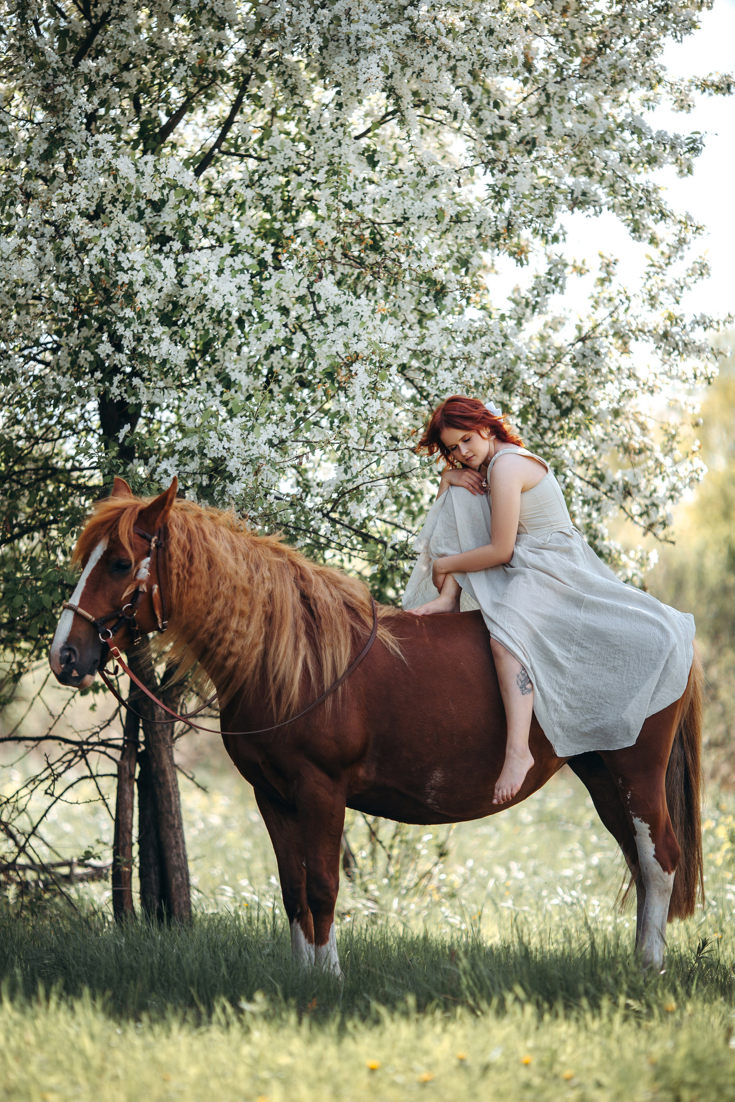 Весенние цветения. Анна Молчанова конный фотограф в Тюмени | фотосессии с лошадьми Тюмень