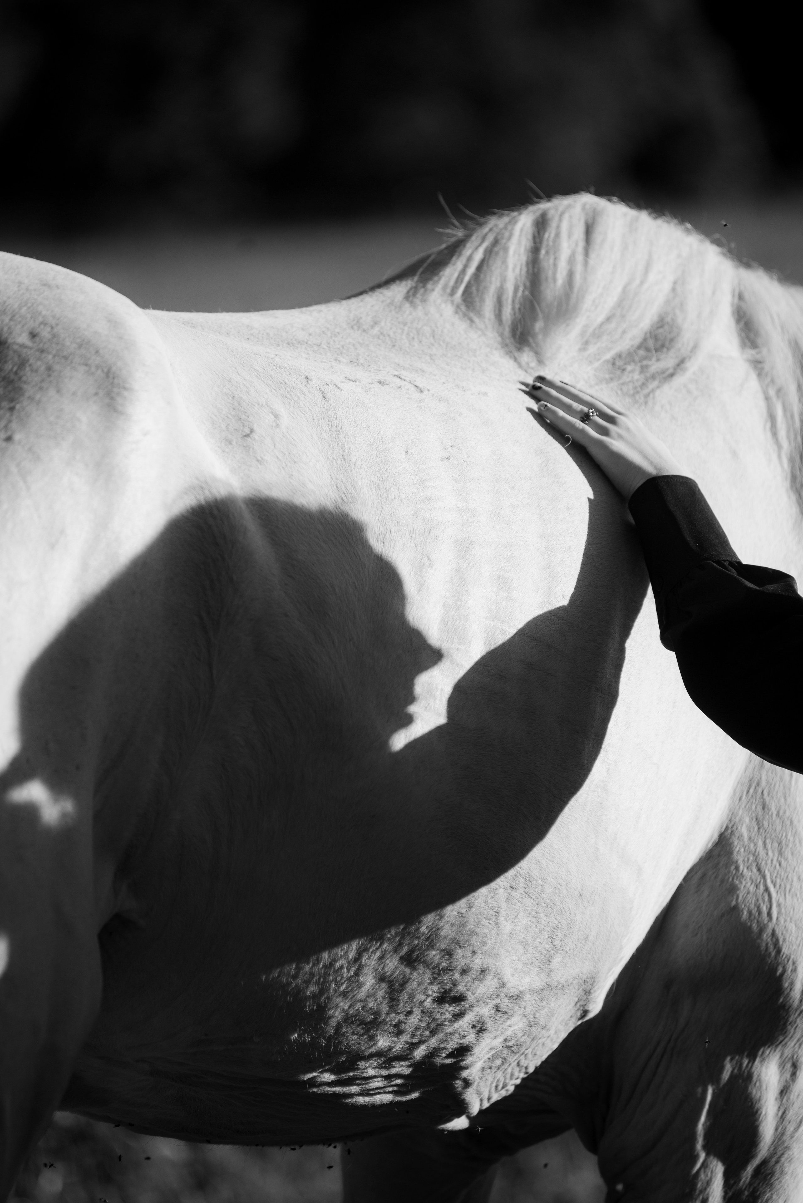 Ульяна. Семейный фотограф Клубкова Мария. Поместье Клу