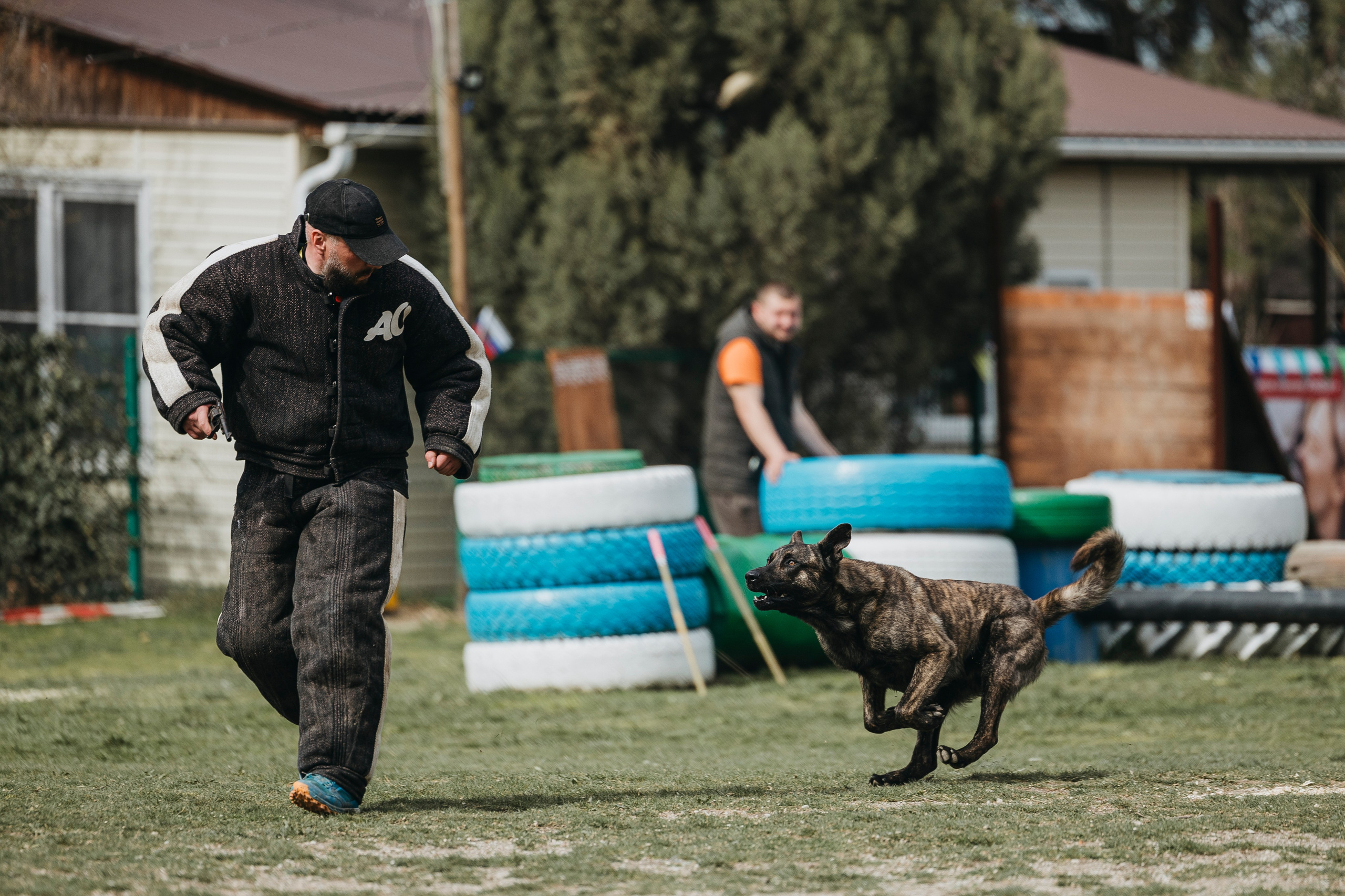 Геленджик Мондьоринг. Фотограф-анималист Анна Маринич