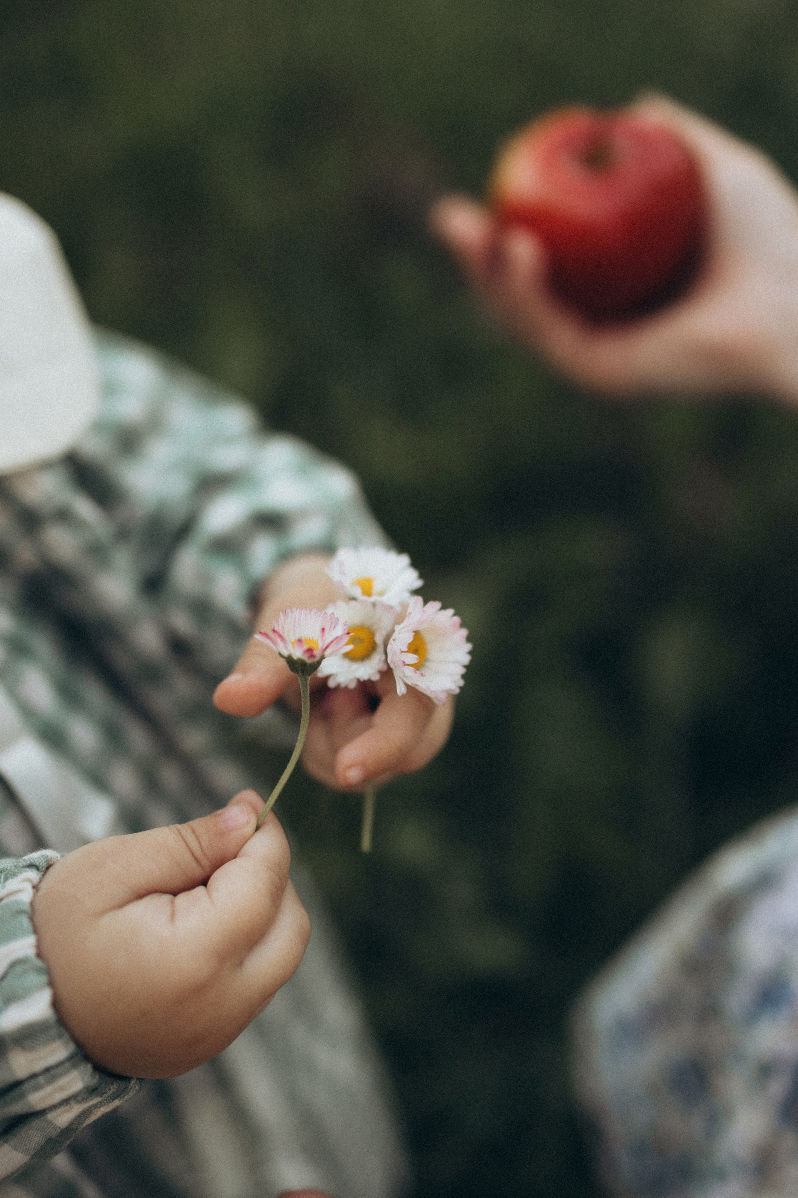 Оля, Ксюша и Юля. Фотограф Елена Рябцева