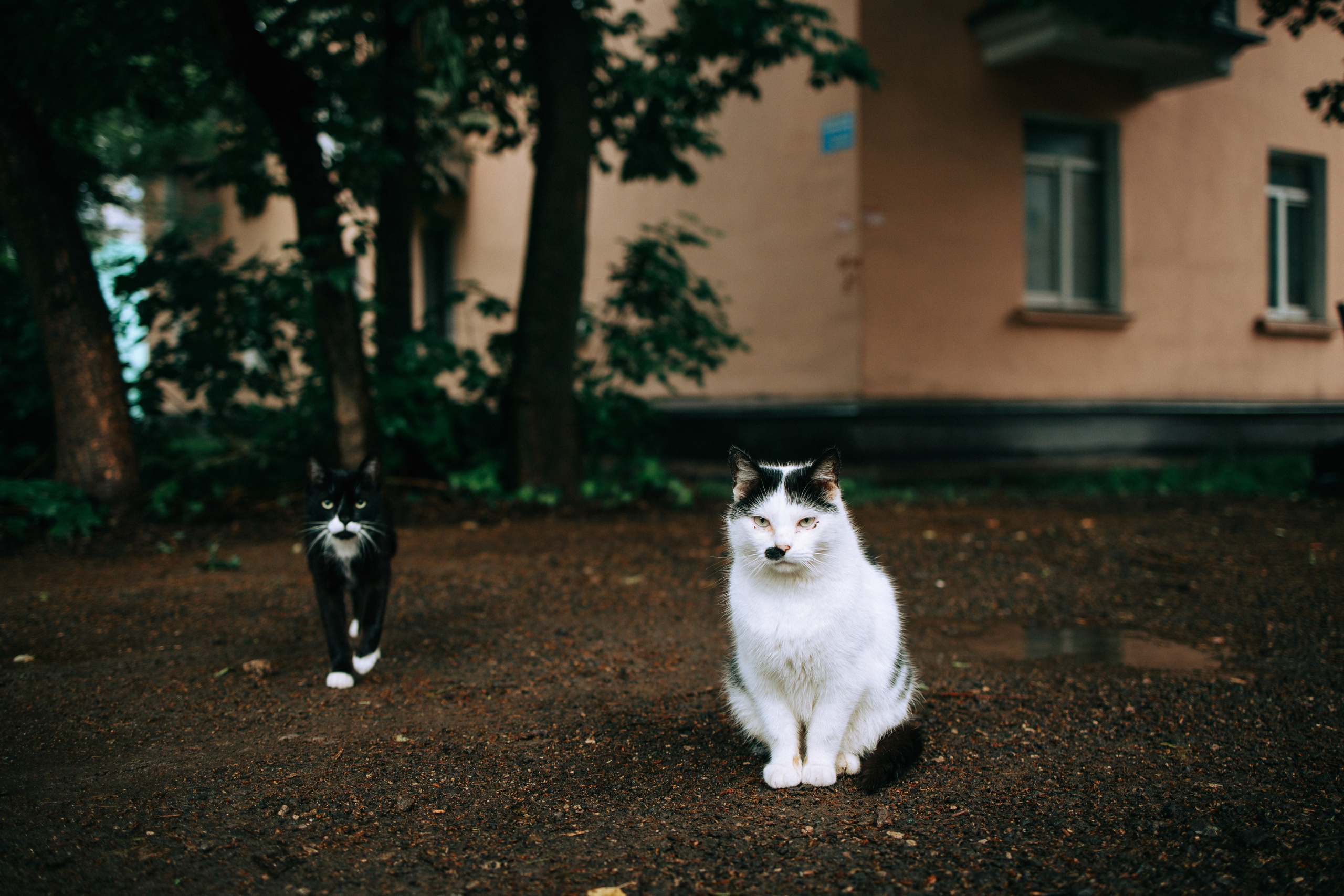 Блог. Свадебный и семейный фотограф в Туле и области Маша Костина