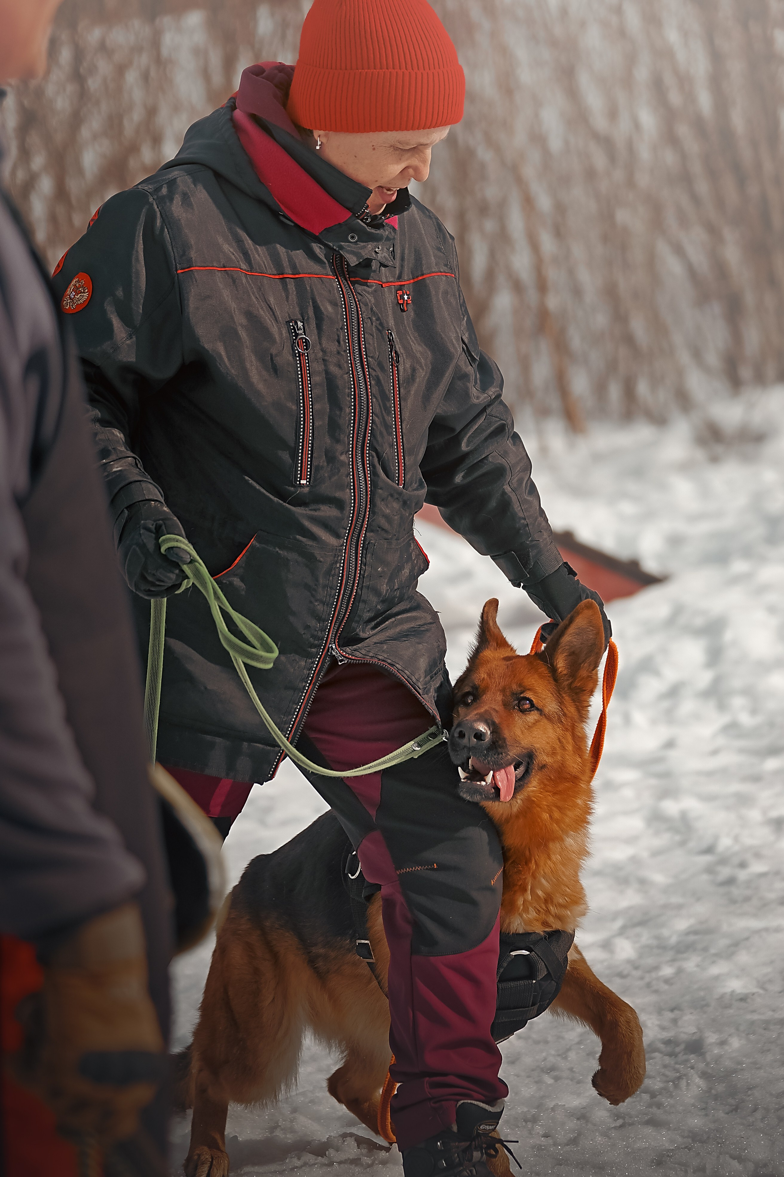 Репортажная съемка. Фотограф-анималист Нижний Новгород
