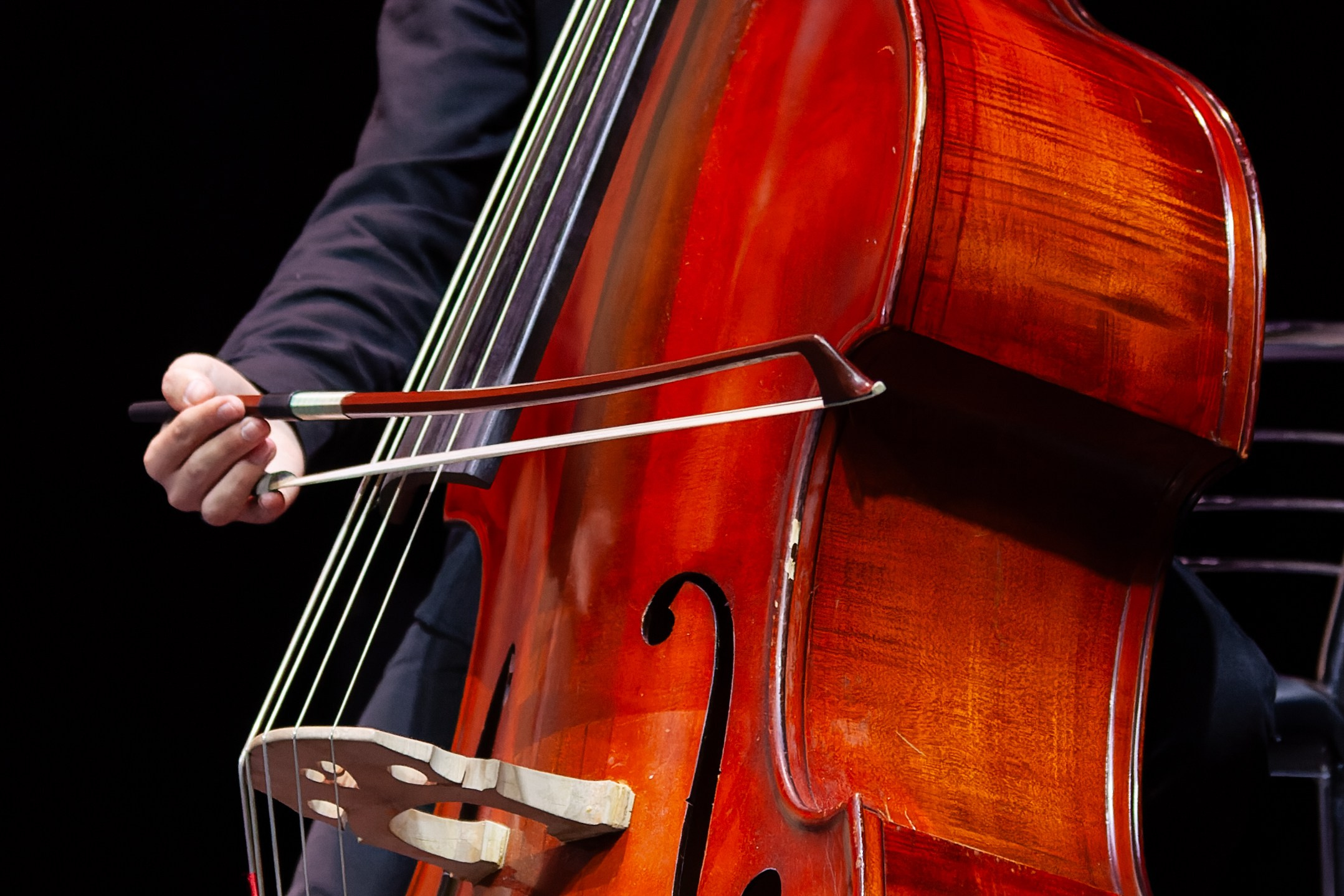 Концерт Южно-Сахалинского симфонического оркестра. Кутузов Евгений Фотограф в Южно-Сахалинске