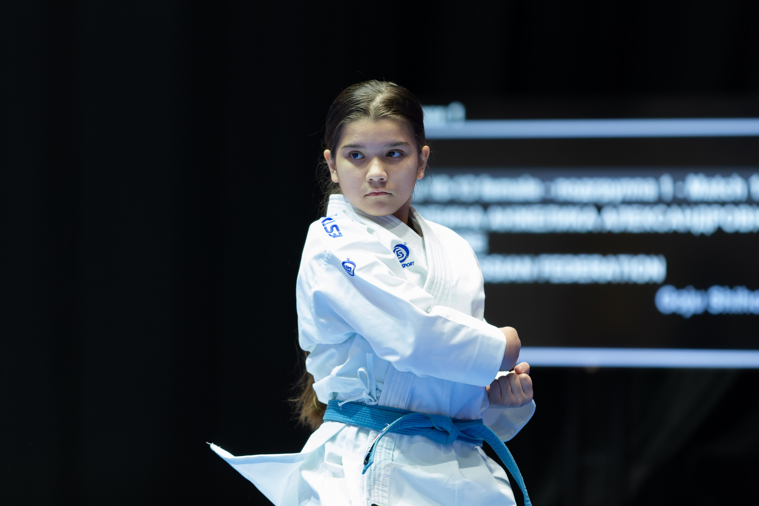 Дальневосточный фестиваль восточных единоборств. Кутузов Евгений Фотограф в Южно-Сахалинске