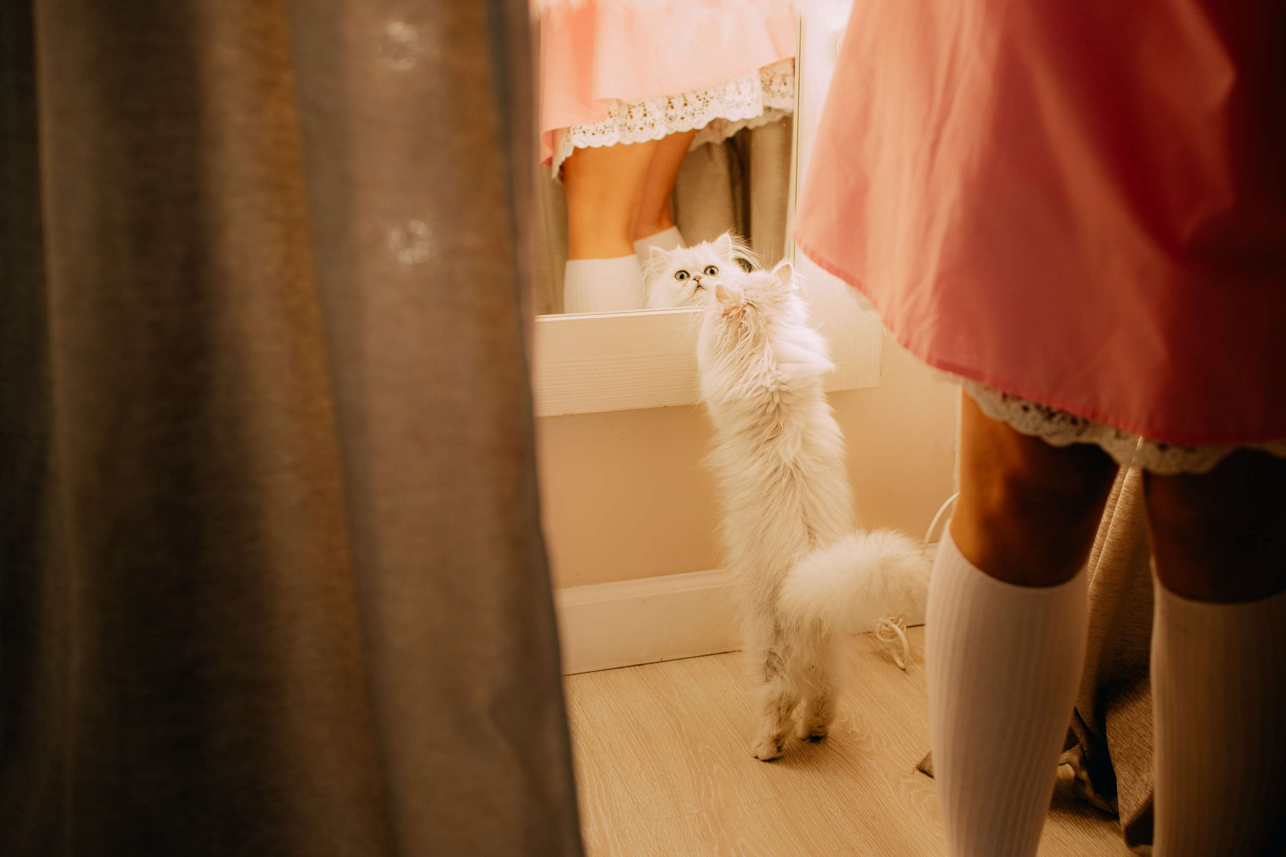 Султан, Мэй Мэй и Шанталь и их семья