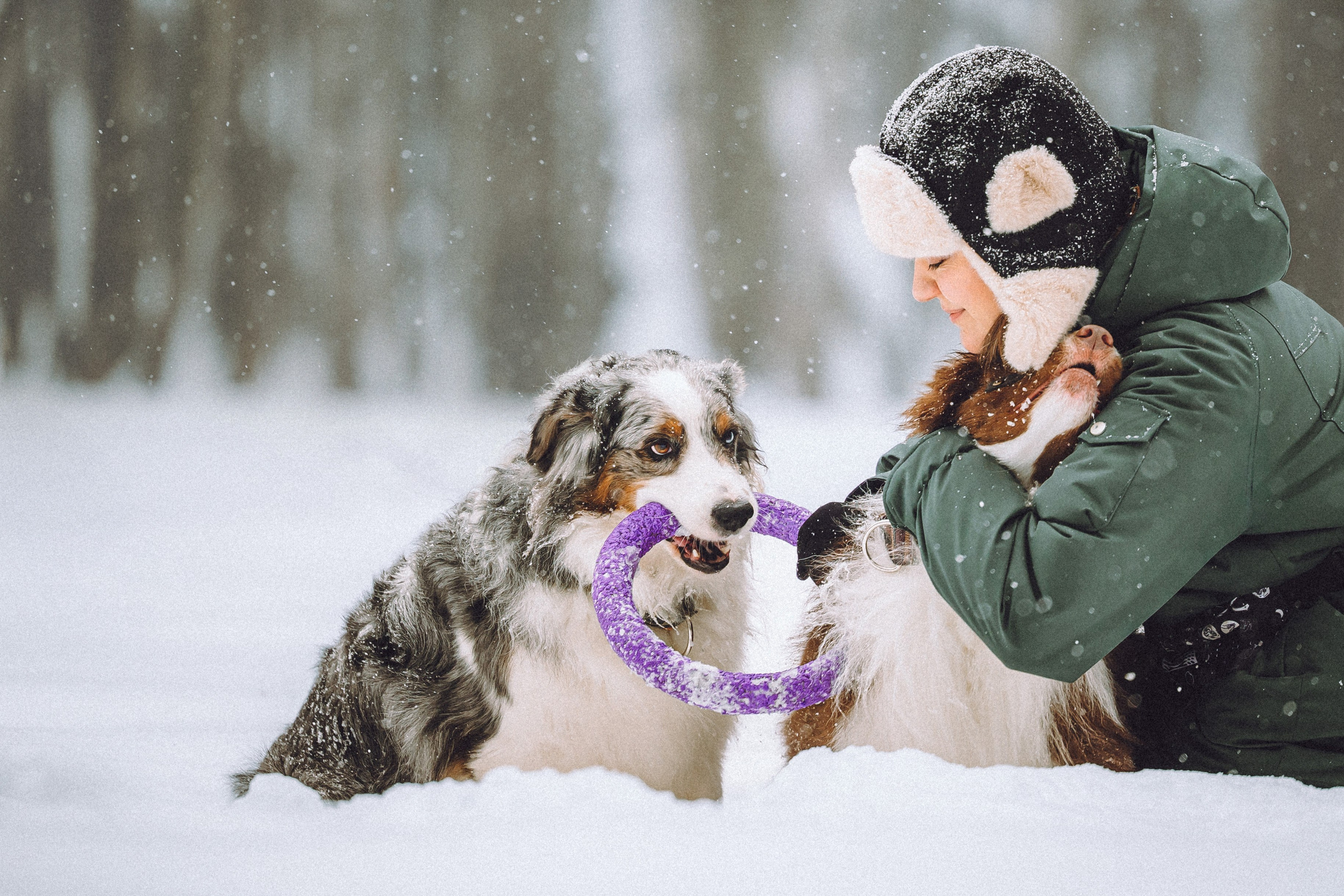 Лена, Принц и Фенек
