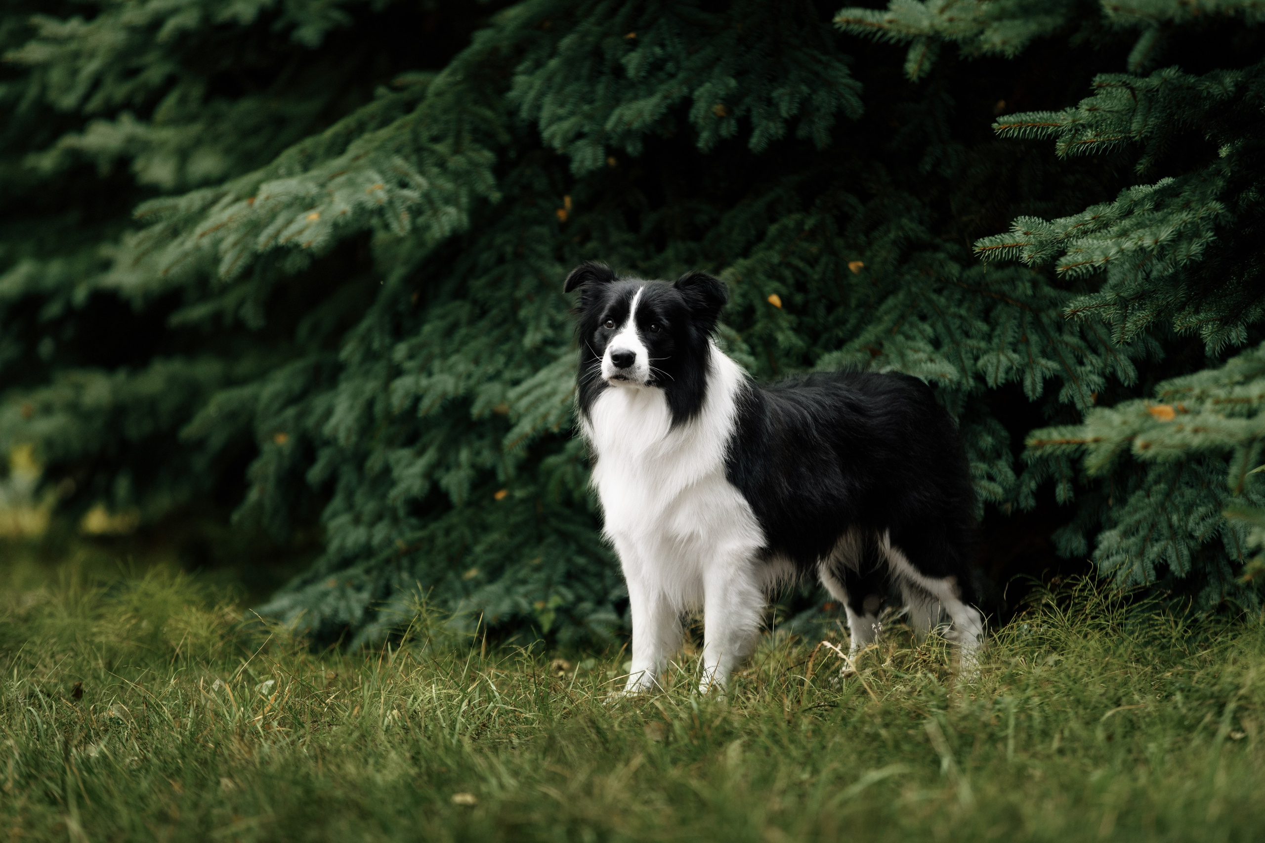 Казань. О нас