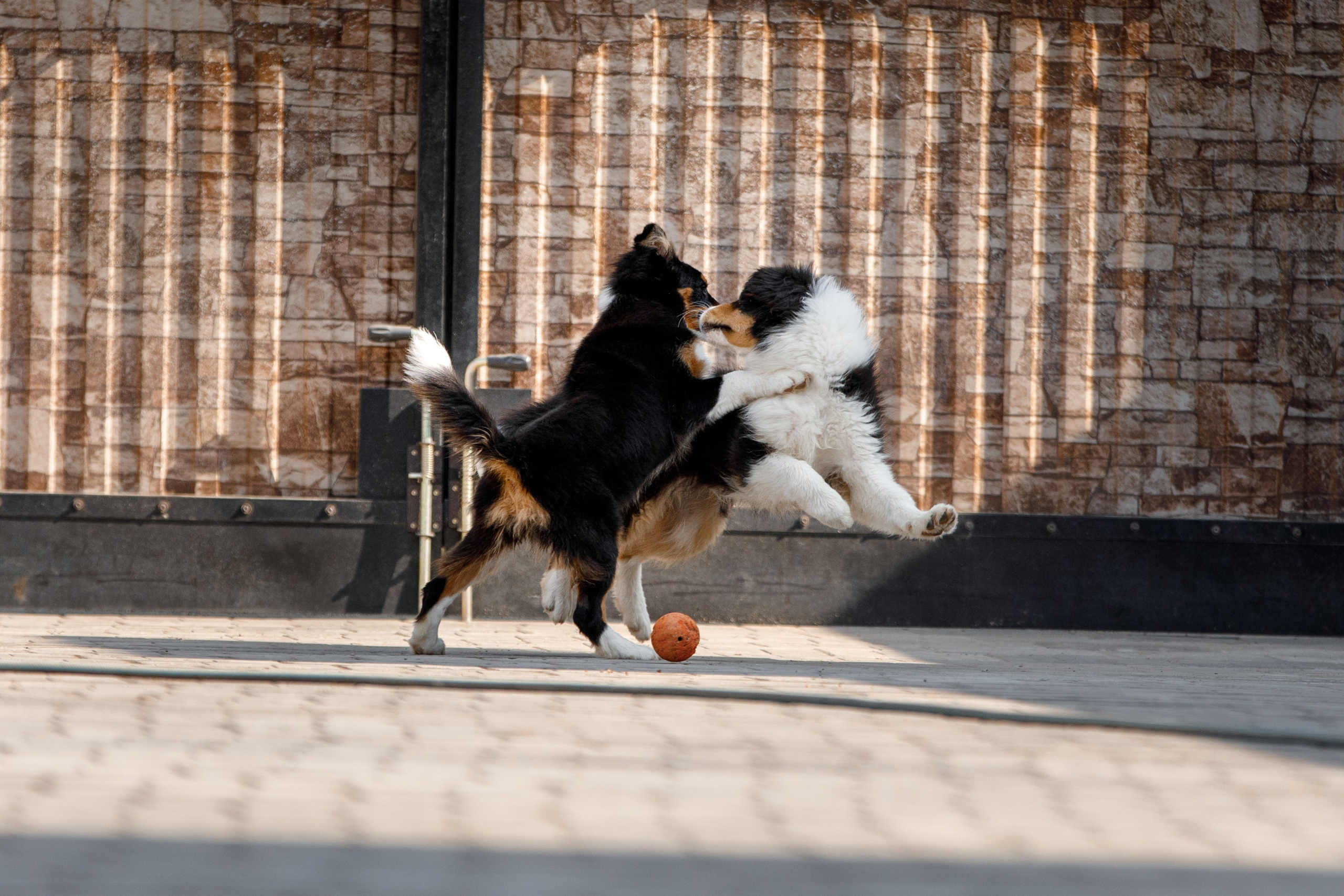 Смешарики. О нас