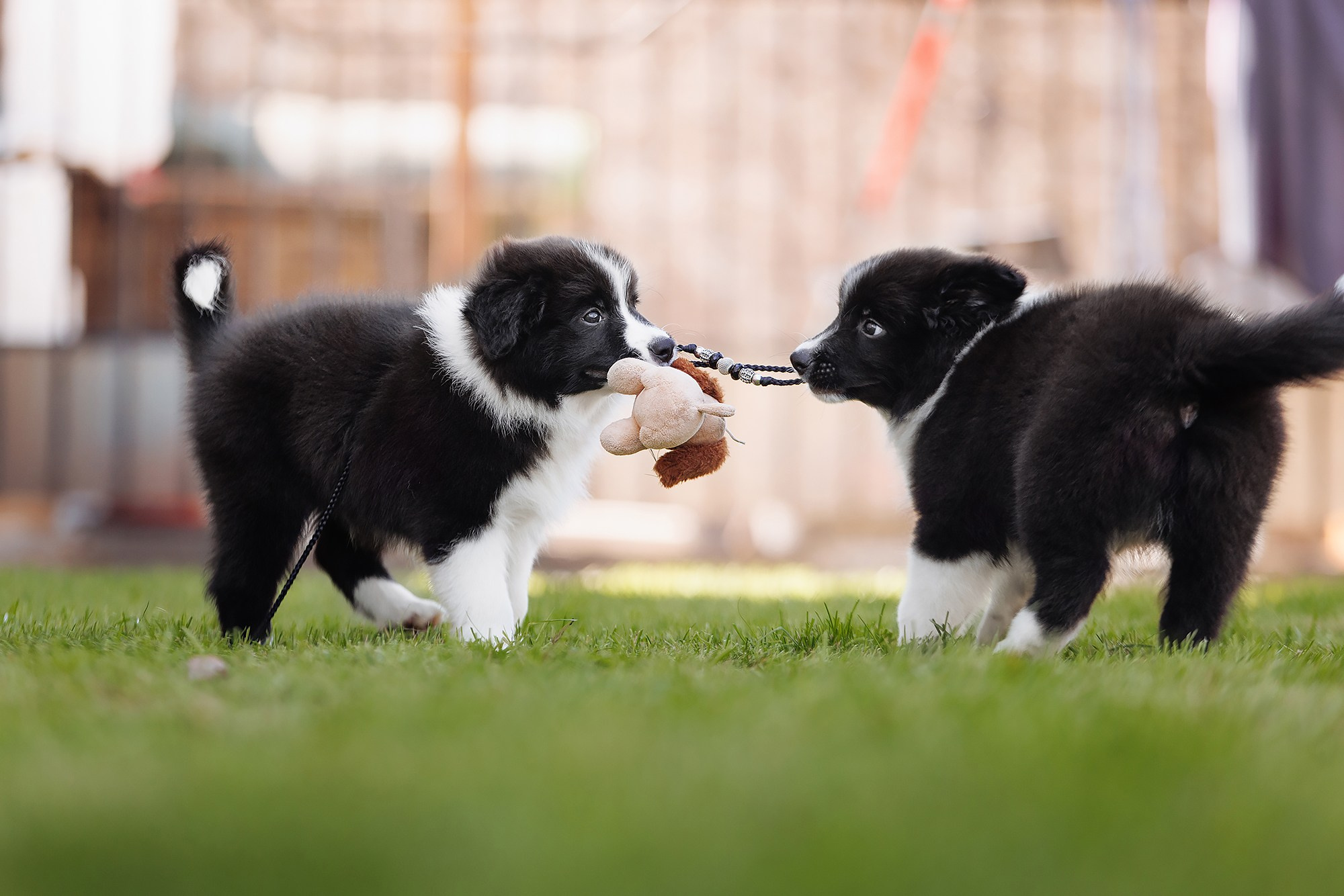 Трава у дома. О нас