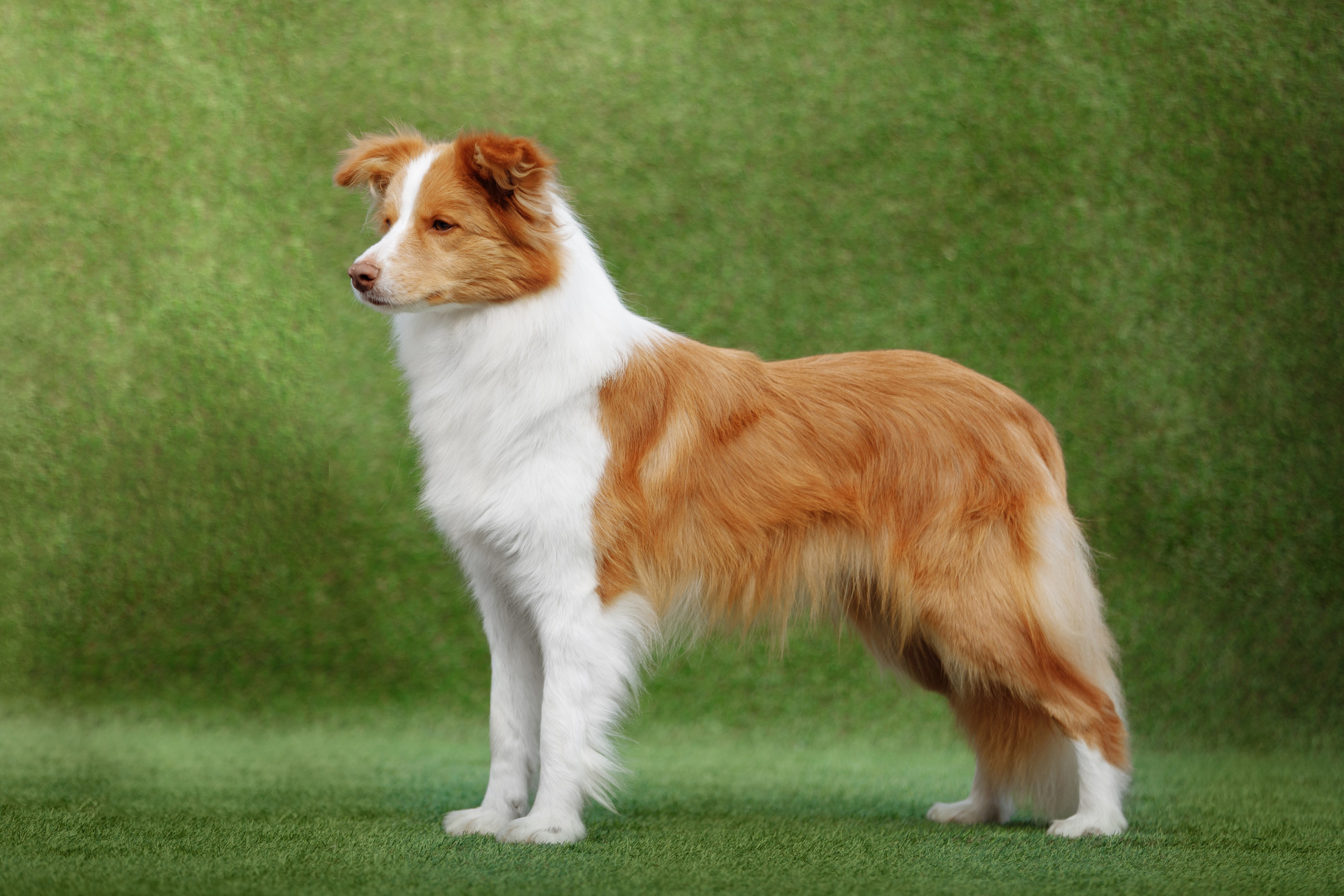 Свое место. О нас