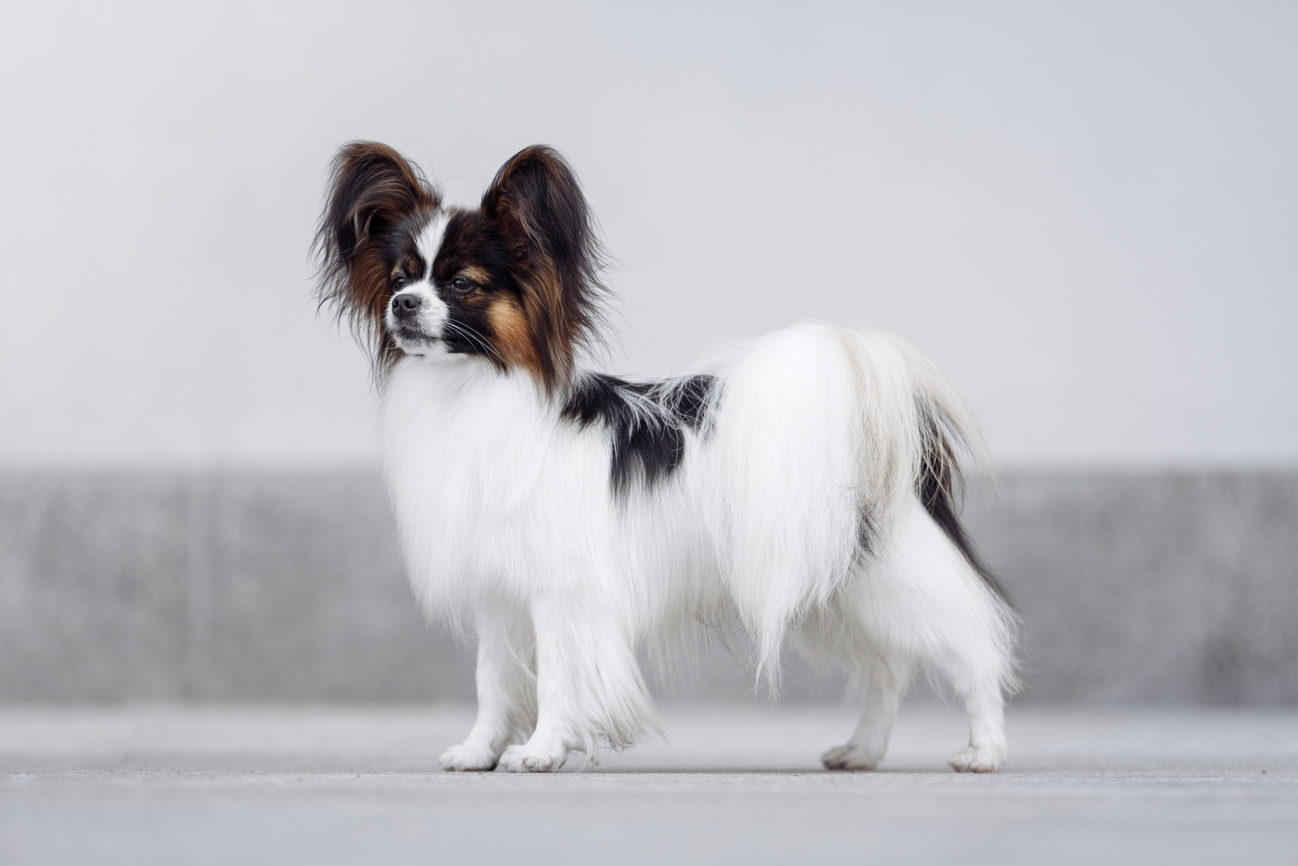 Магнитка 22. О нас