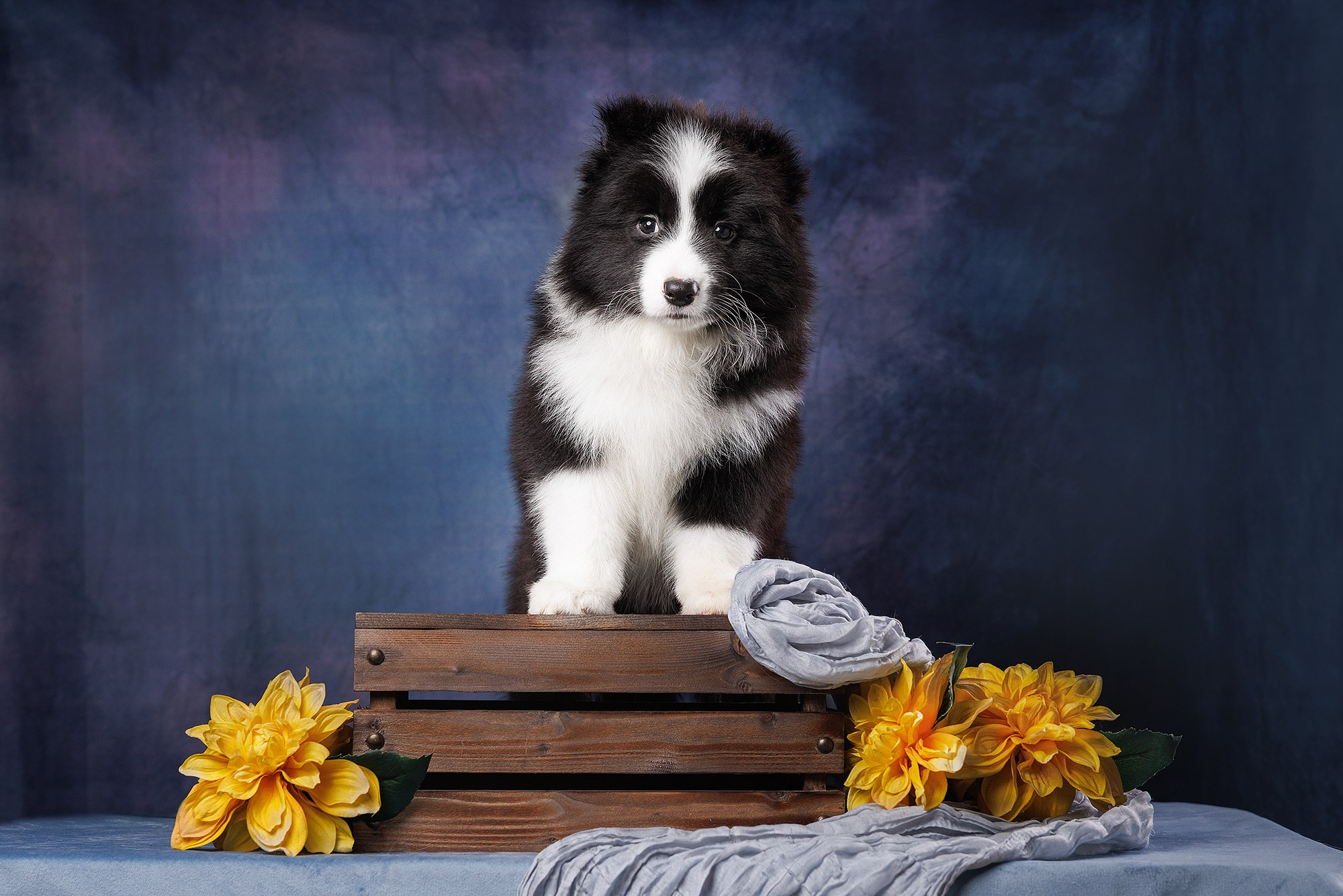 На водной основе. О нас