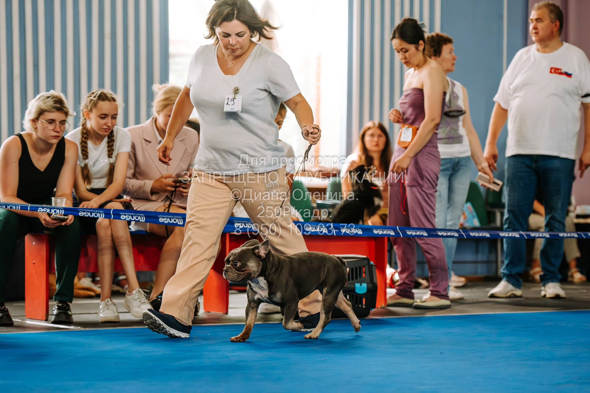 Национальная выставка собак всех пород ранга САС-IKU «Кубок Красноярск. Фотограф Диана Оленина Красноярск / Братск