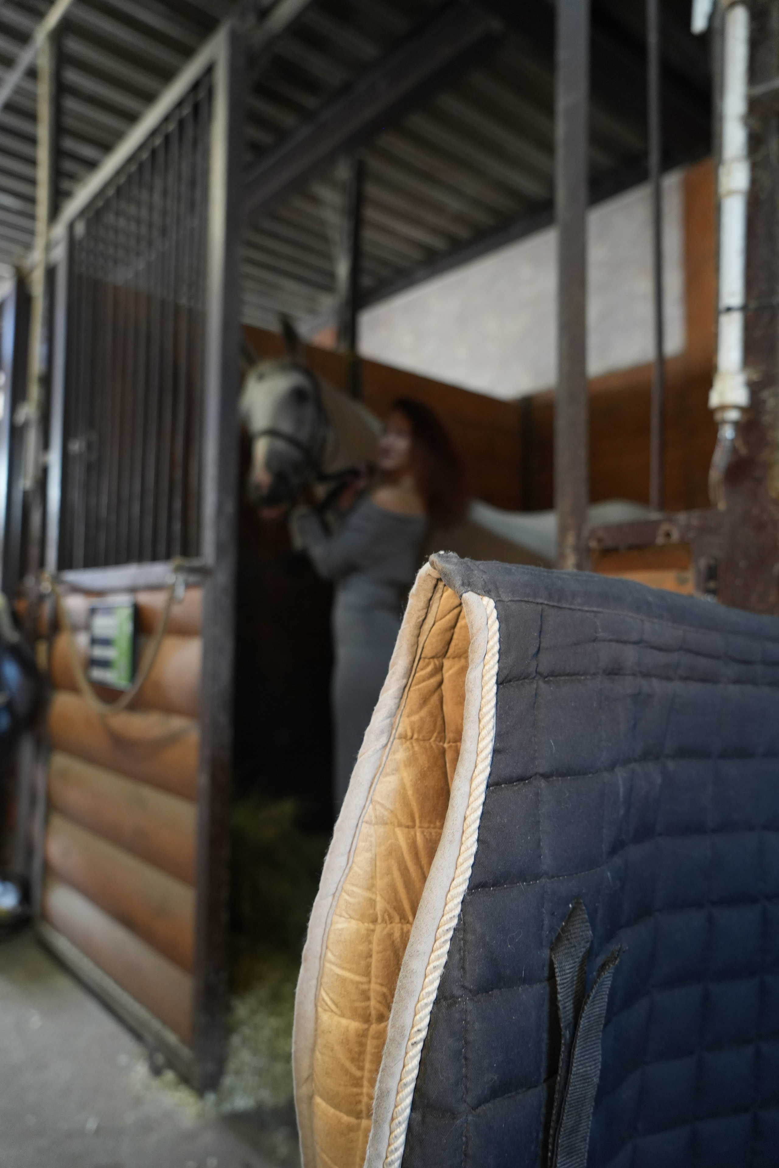 Фотосессия с лошадью. Видеограф и Фотограф в Москве