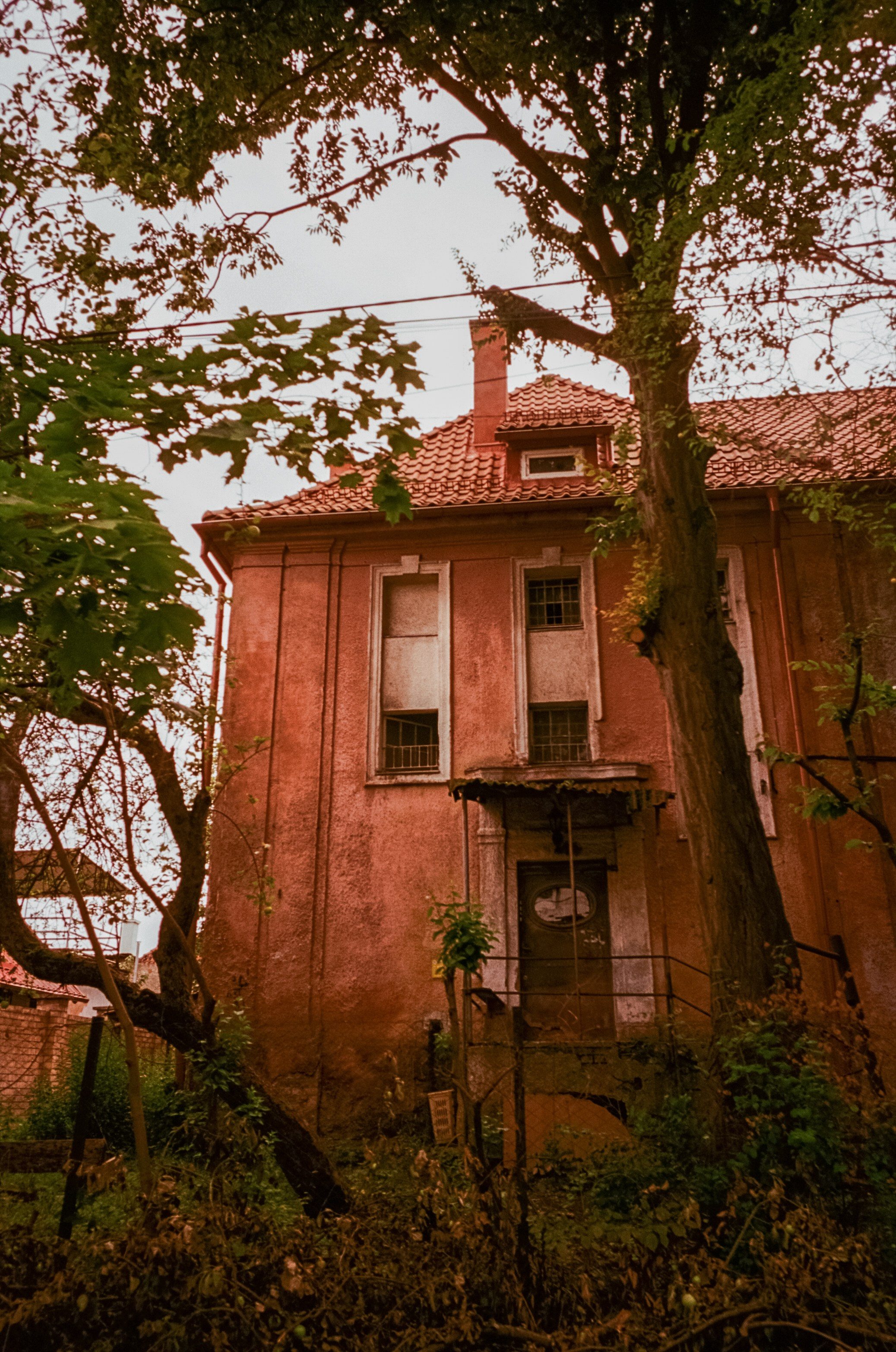 Калининград. Верхнее озеро, Safe Coffee и кафе Толстой. Фотограф-документалист Мария Осокина