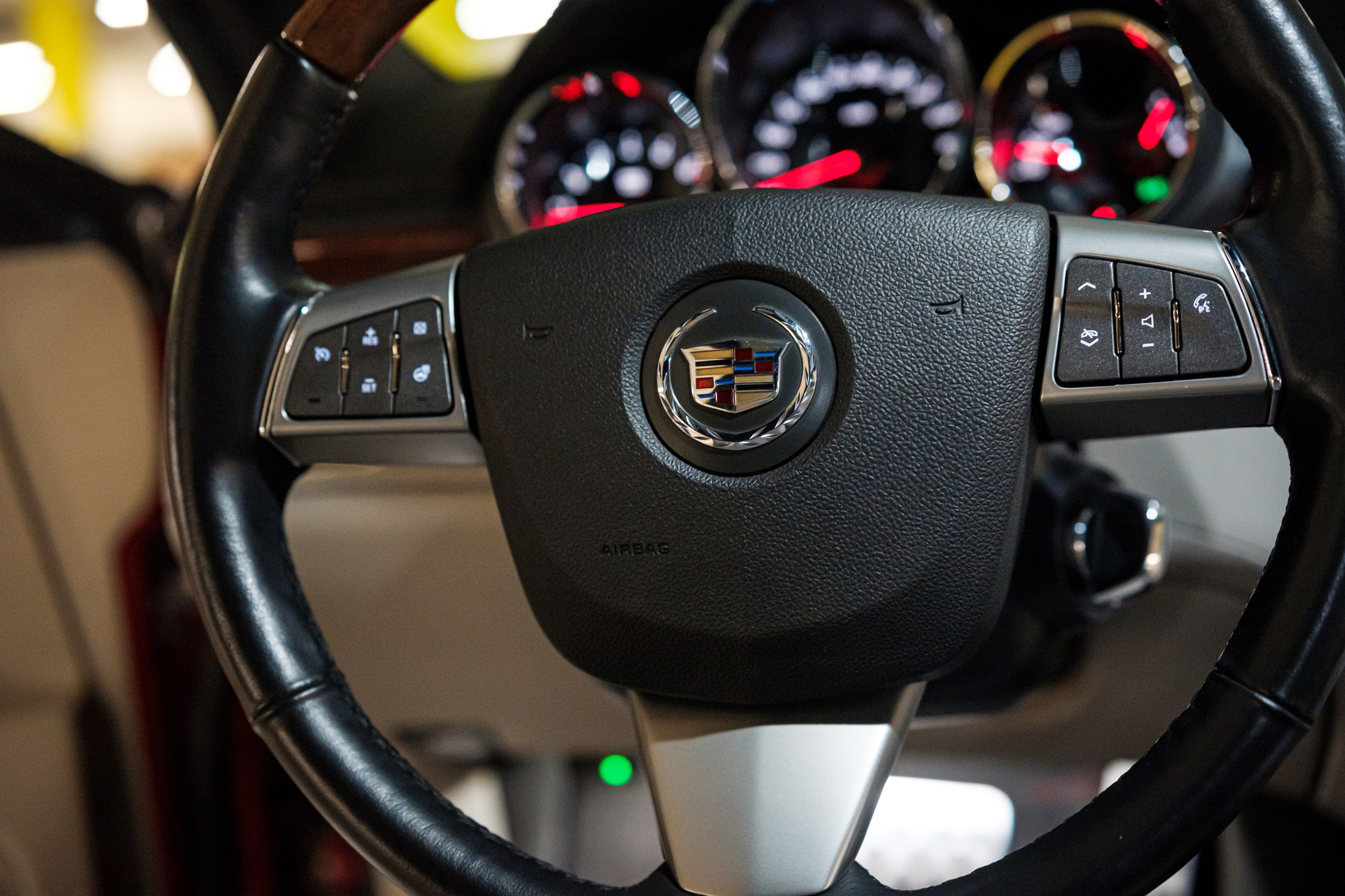 Кэдди. Алексей Никифоров фотограф Москва, Химки