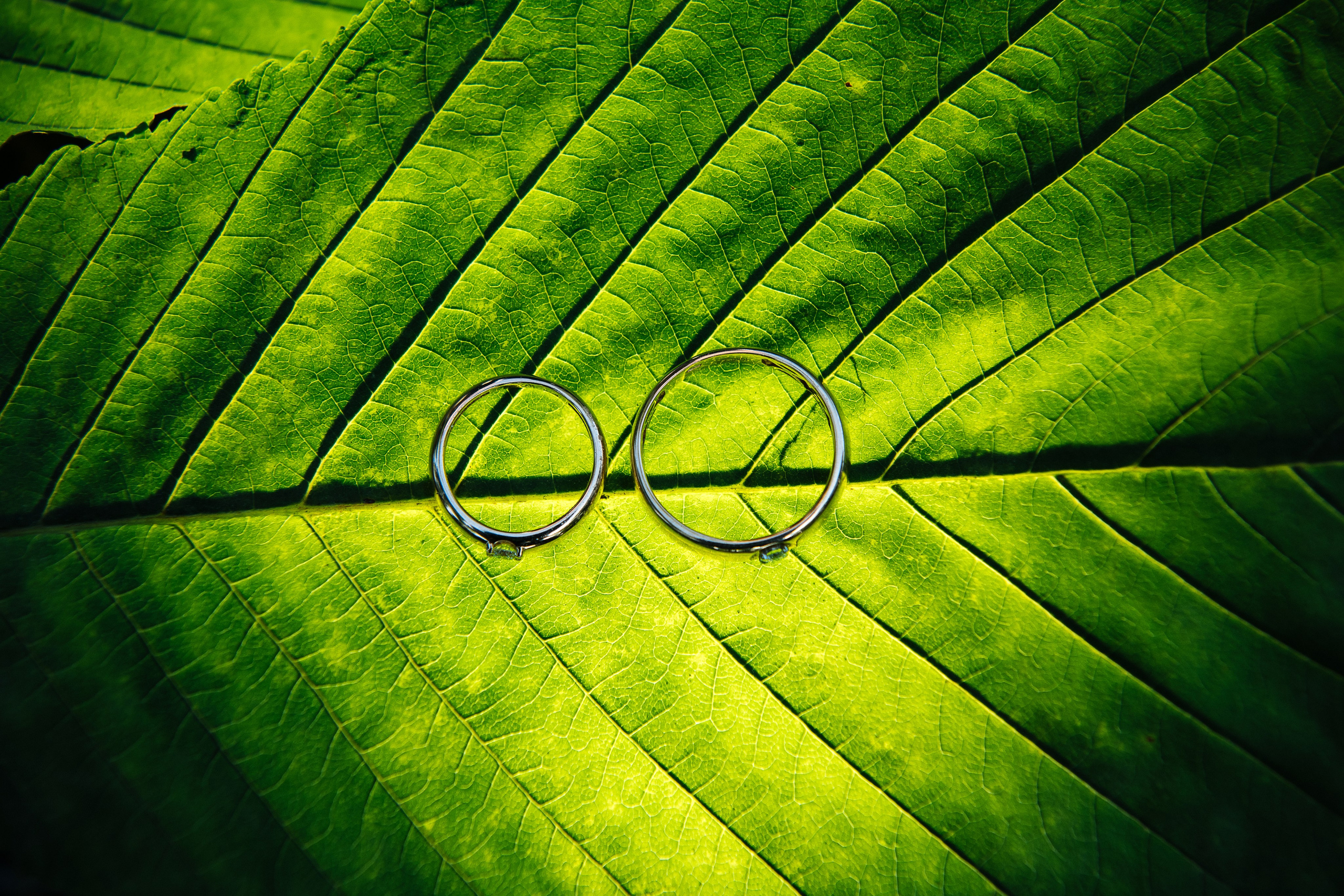 Сергей Шумаков | Свадебный фотограф Москва